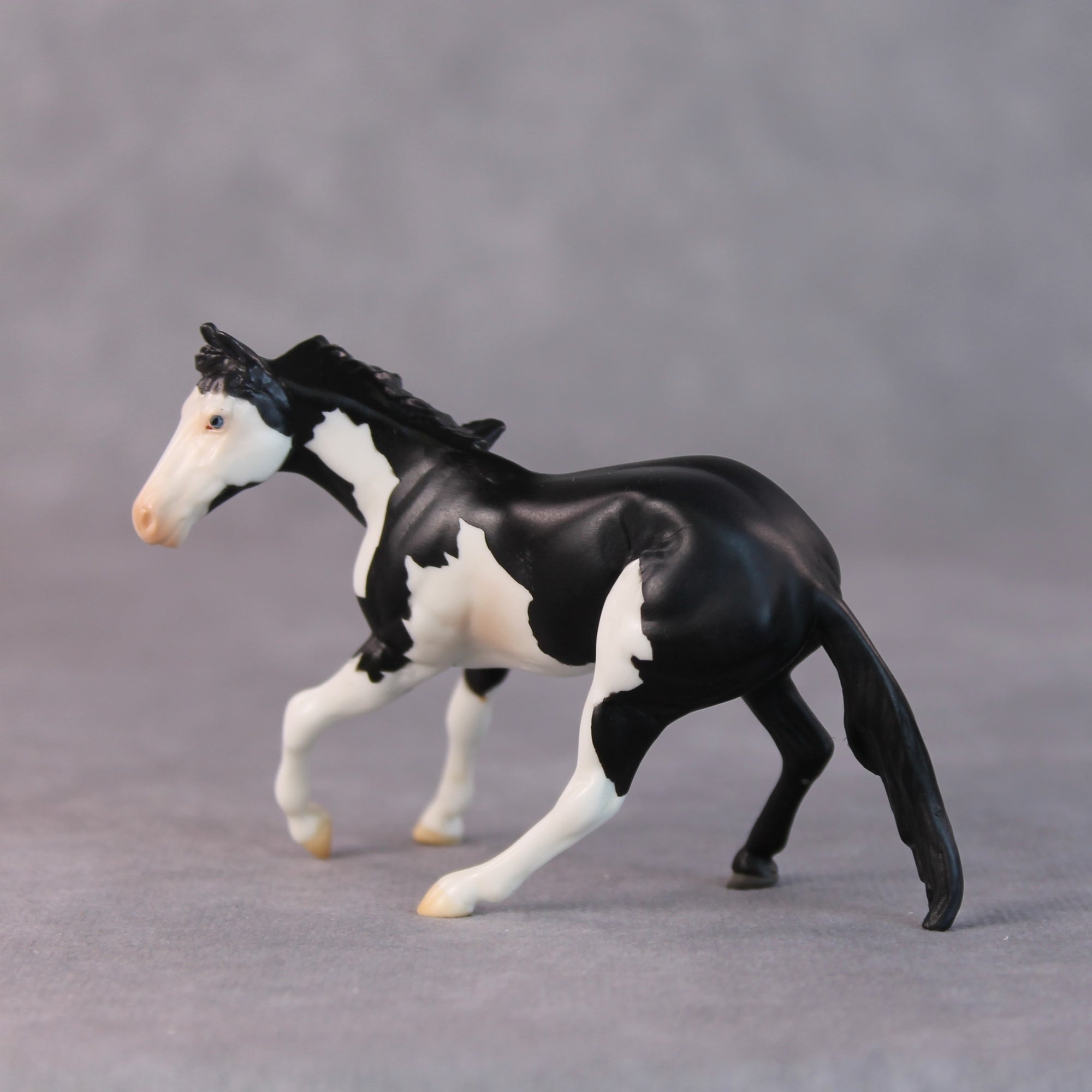 Freddy OOAK Black Pinto Cutter Chip by Jamie Adamson HS24