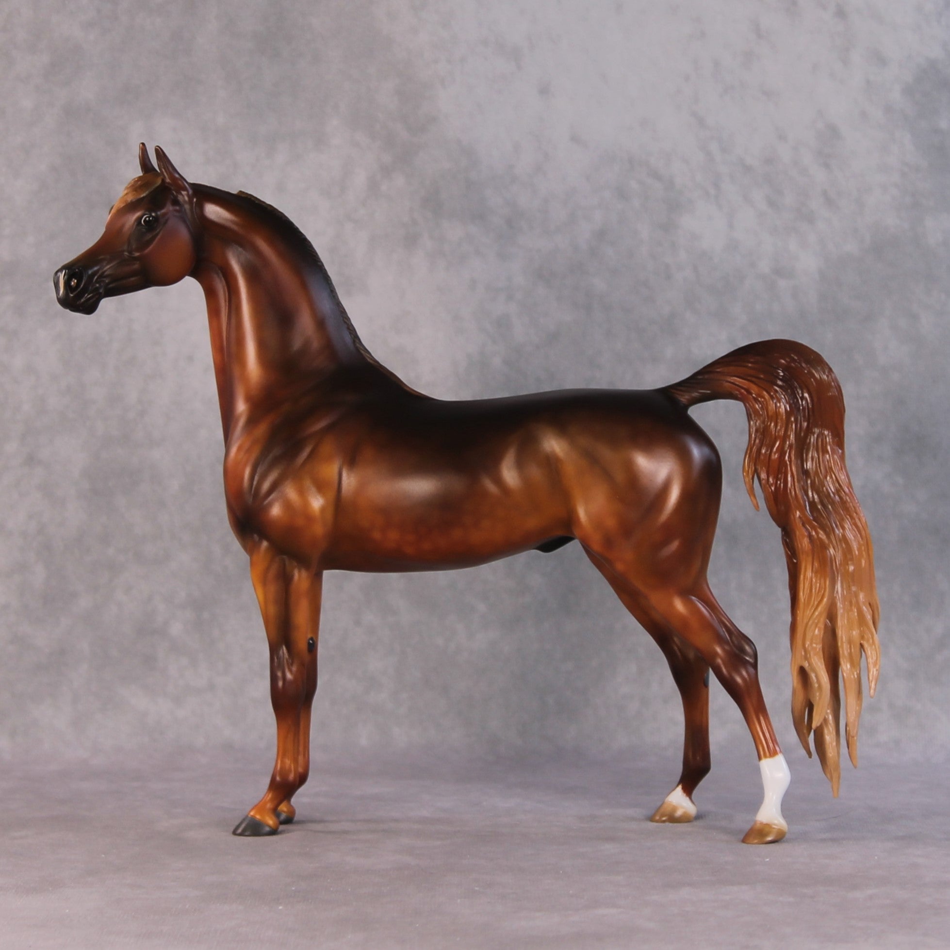 "Close to the Sun" OOAK FCM Arabian By Kristen Cermele