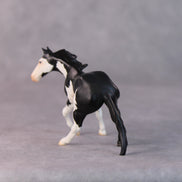 Freddy OOAK Black Pinto Cutter Chip by Jamie Adamson HS24