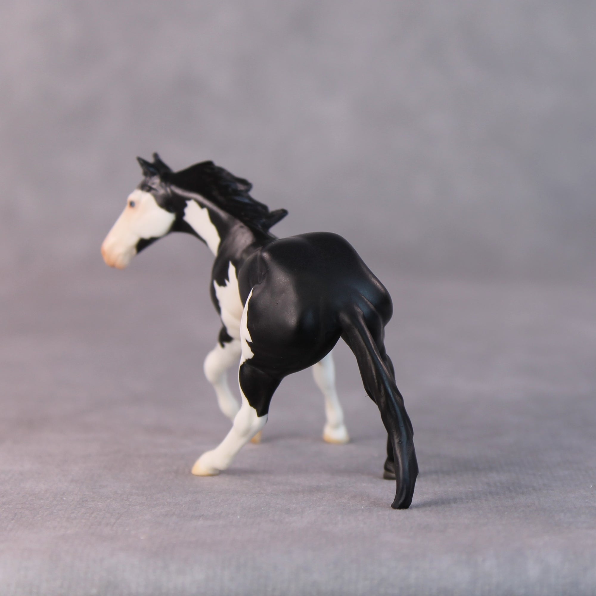 Freddy OOAK Black Pinto Cutter Chip by Jamie Adamson HS24