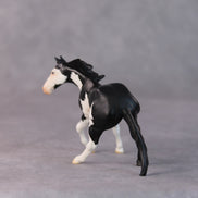 Freddy OOAK Black Pinto Cutter Chip by Jamie Adamson HS24