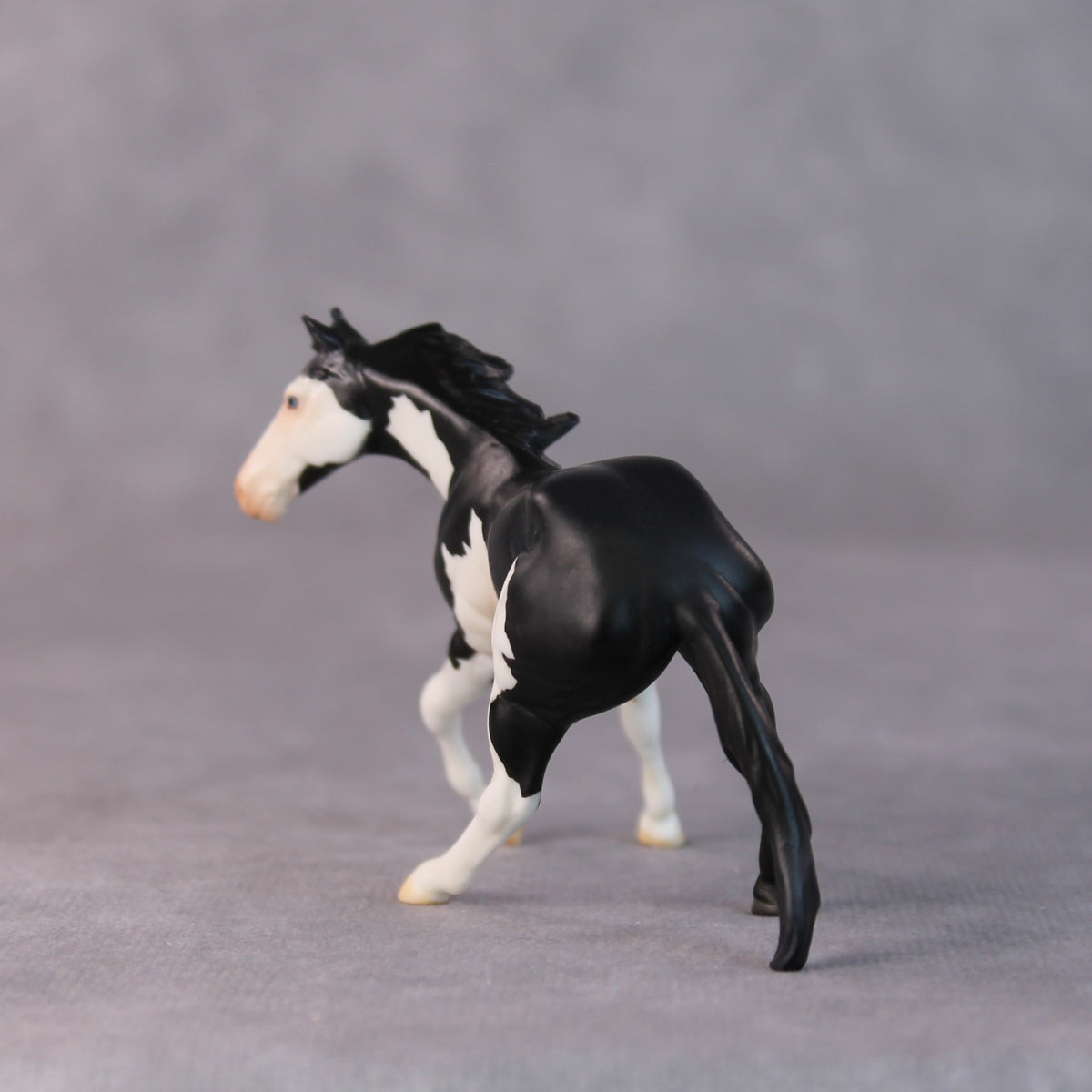 Freddy OOAK Black Pinto Cutter Chip by Jamie Adamson HS24