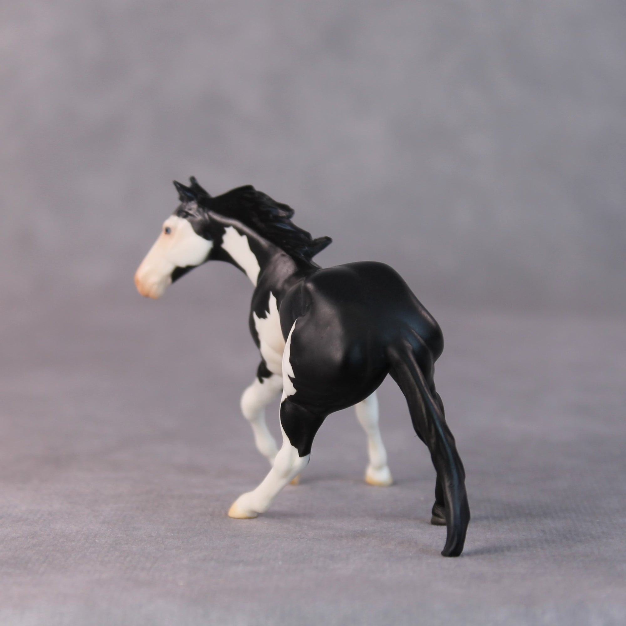 Freddy OOAK Black Pinto Cutter Chip by Jamie Adamson HS24