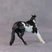 Freddy OOAK Black Pinto Cutter Chip by Jamie Adamson HS24