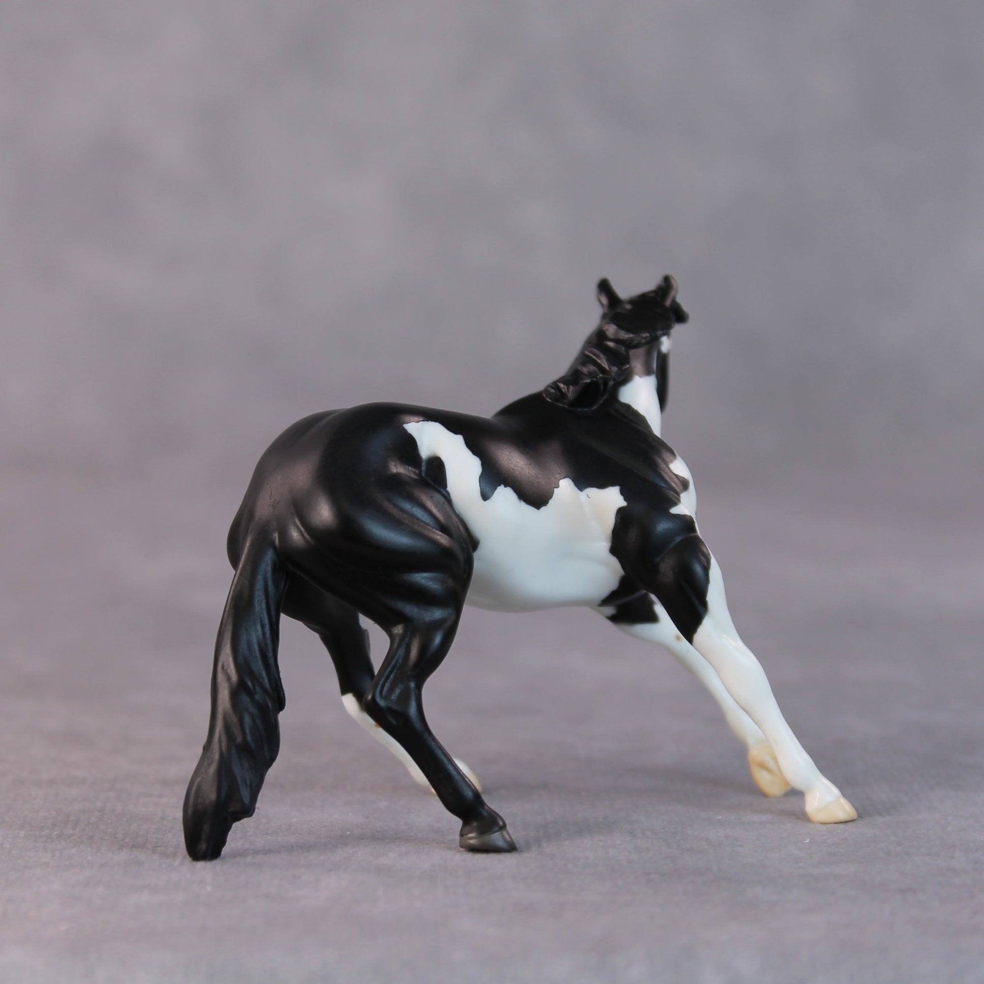 Freddy OOAK Black Pinto Cutter Chip by Jamie Adamson HS24