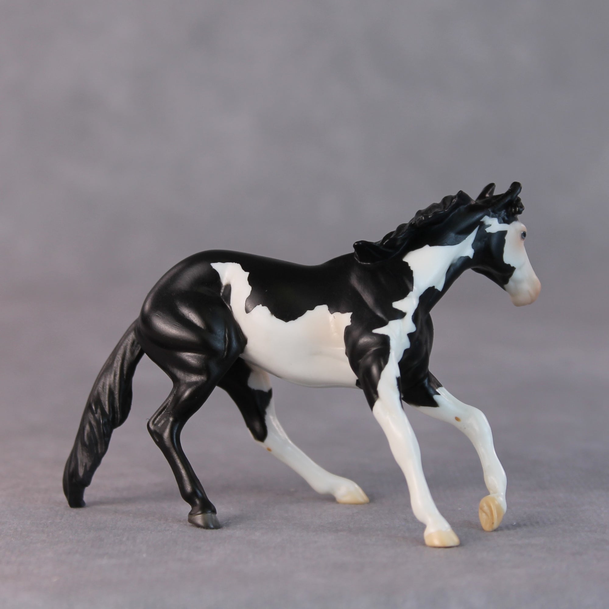 Freddy OOAK Black Pinto Cutter Chip by Jamie Adamson HS24