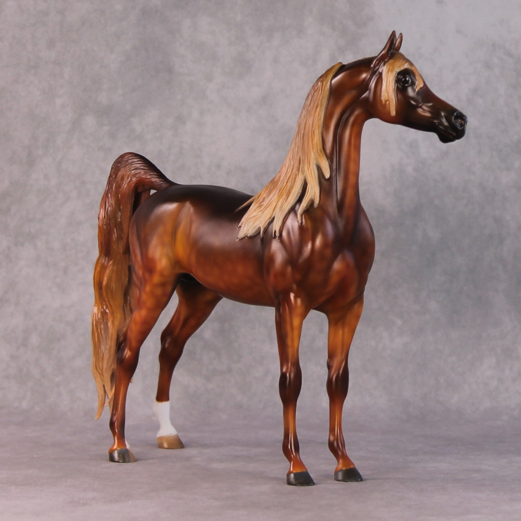 "Close to the Sun" OOAK FCM Arabian By Kristen Cermele