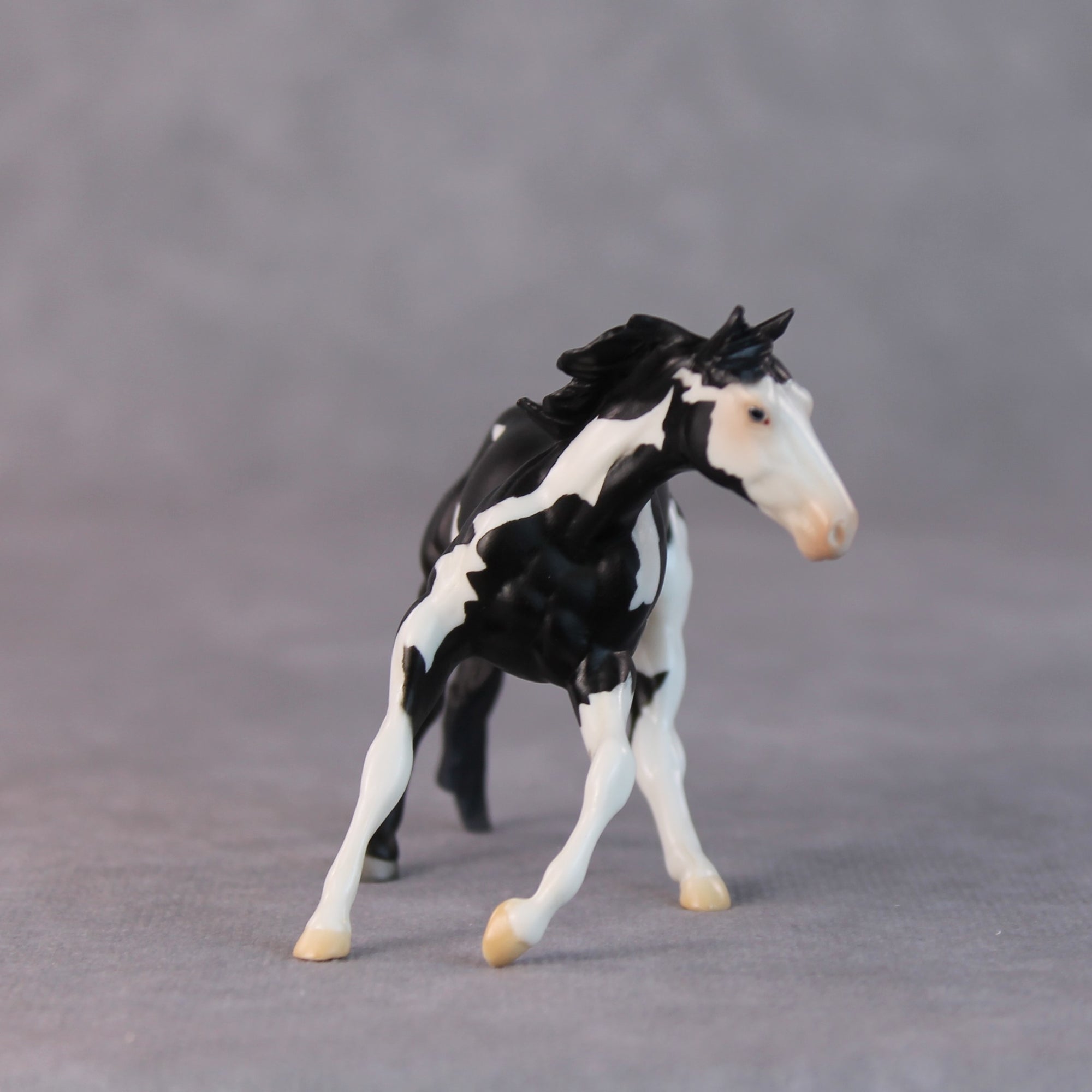 Freddy OOAK Black Pinto Cutter Chip by Jamie Adamson HS24