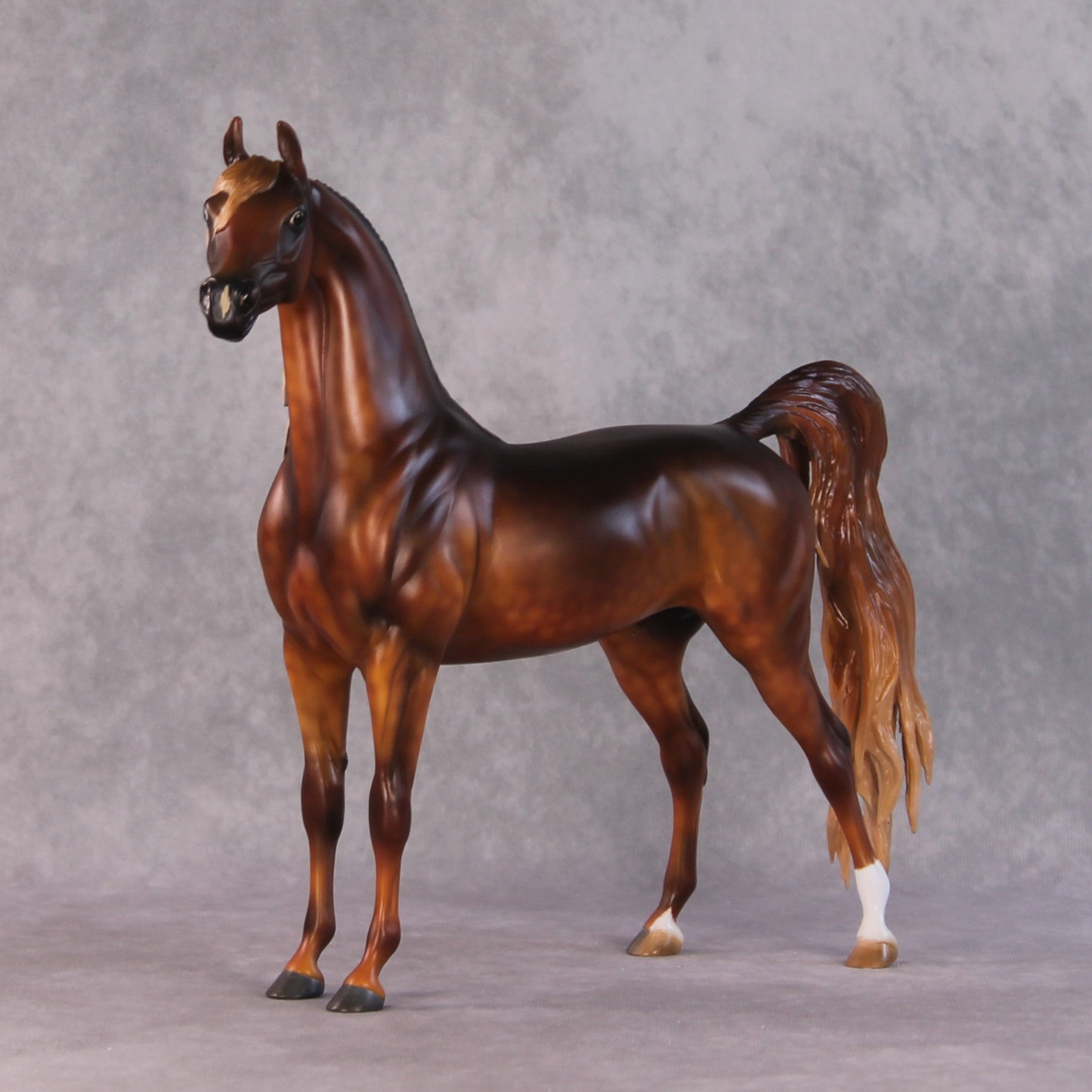 "Close to the Sun" OOAK FCM Arabian By Kristen Cermele