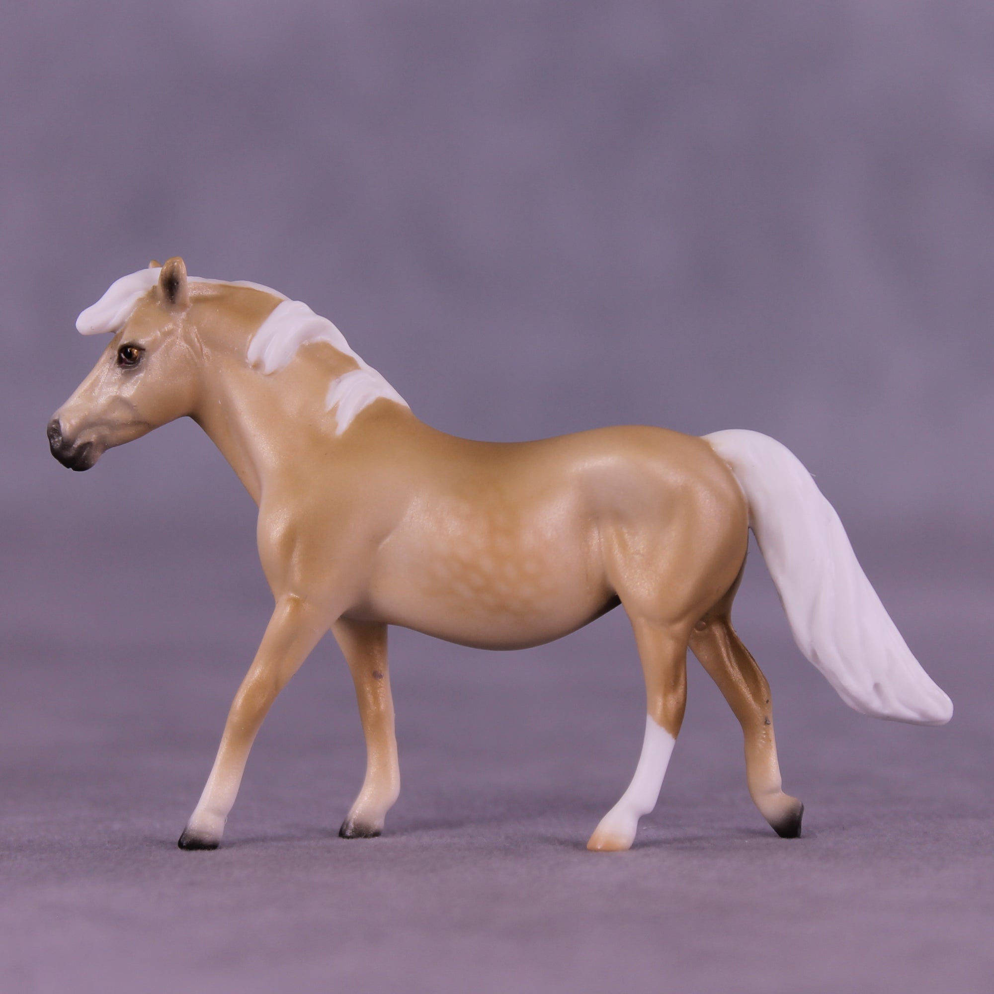Lachesis LE-10 Chip Pony by Ellen Robbins CL25