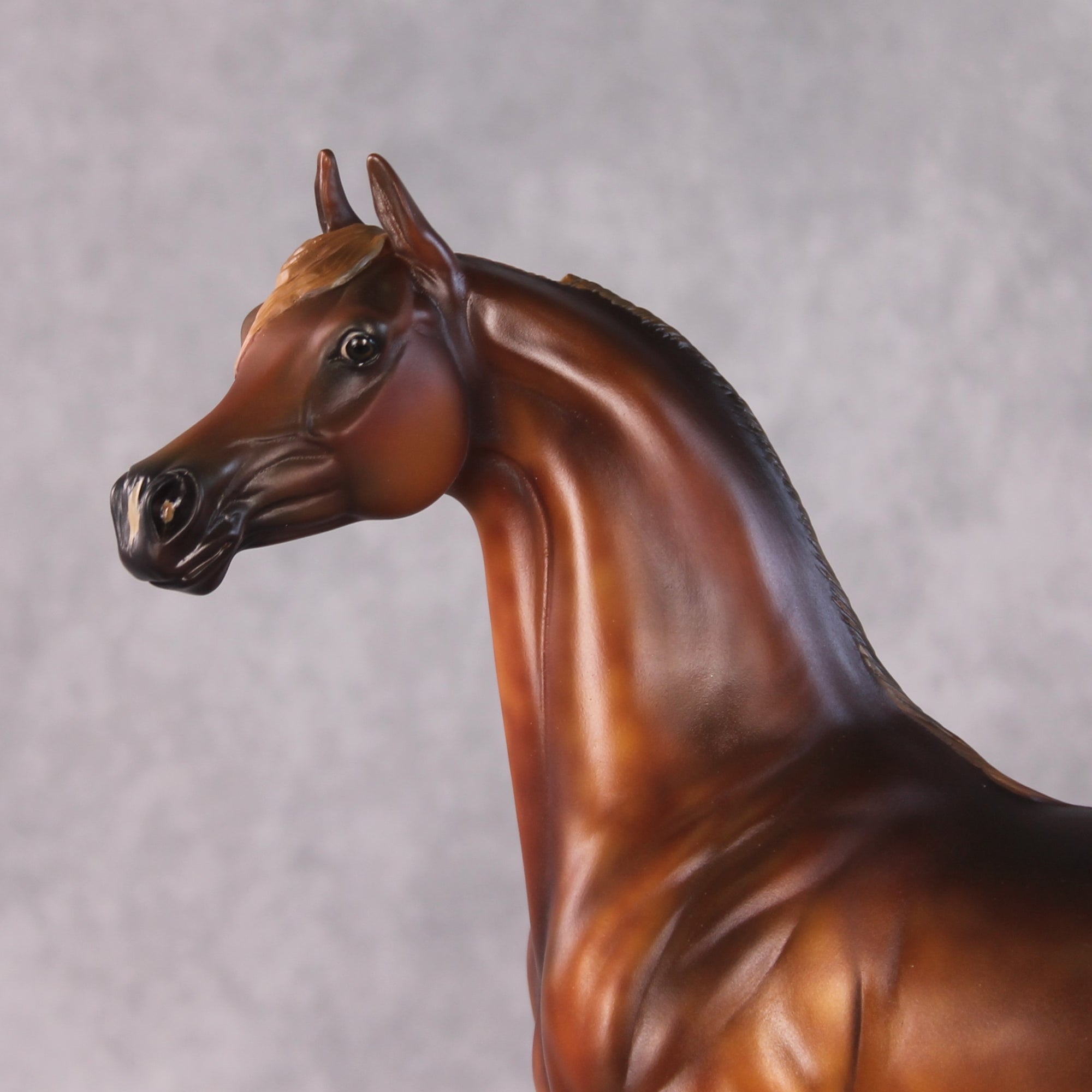 "Close to the Sun" OOAK FCM Arabian By Kristen Cermele