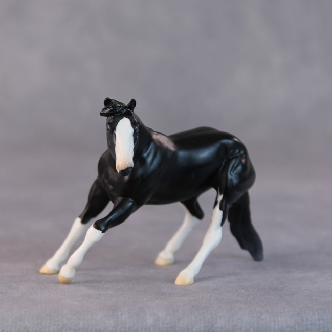 Daffy OOAK Black Pinto Cutter Chip by Jamie Adamson HS24