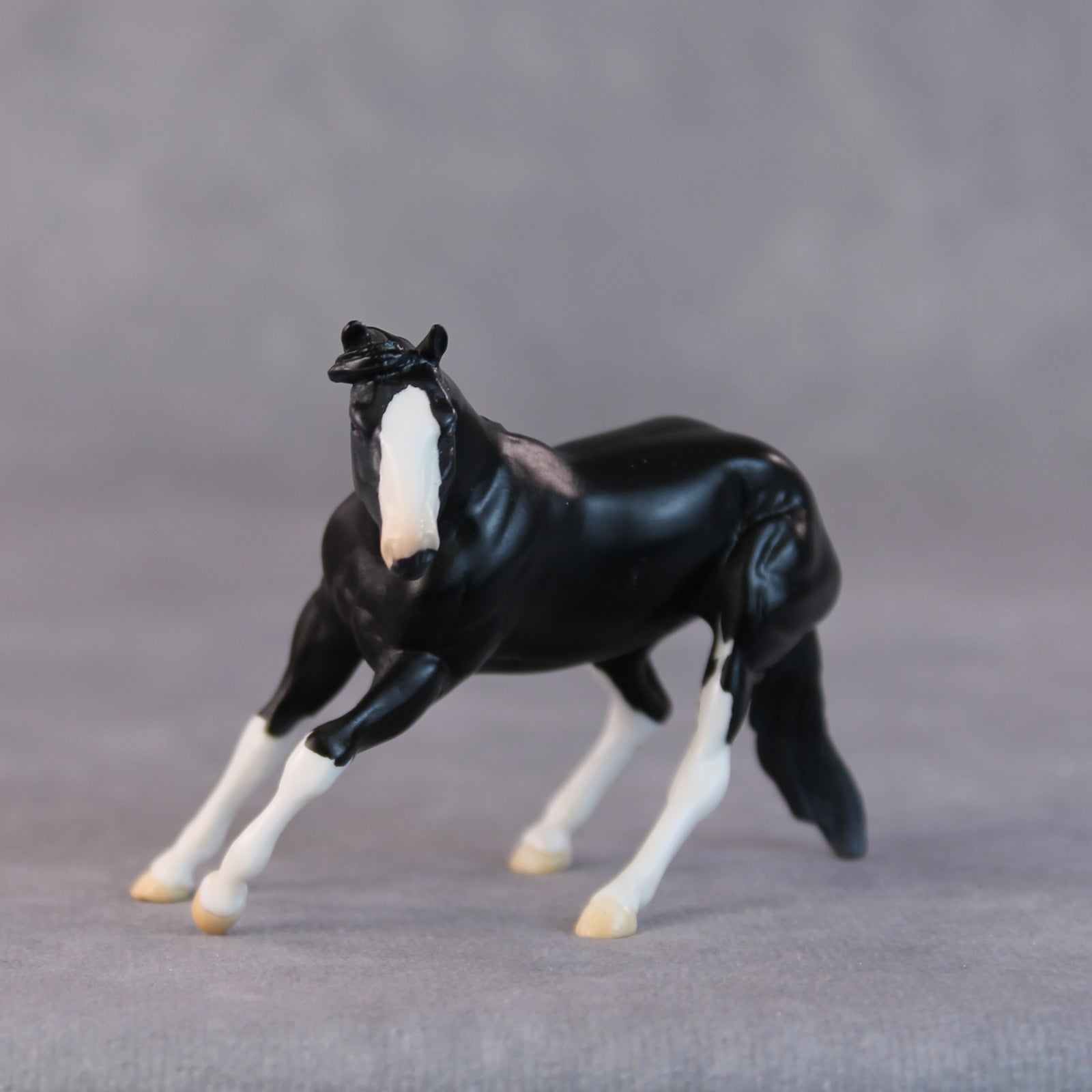 Daffy OOAK Black Pinto Cutter Chip by Jamie Adamson HS24