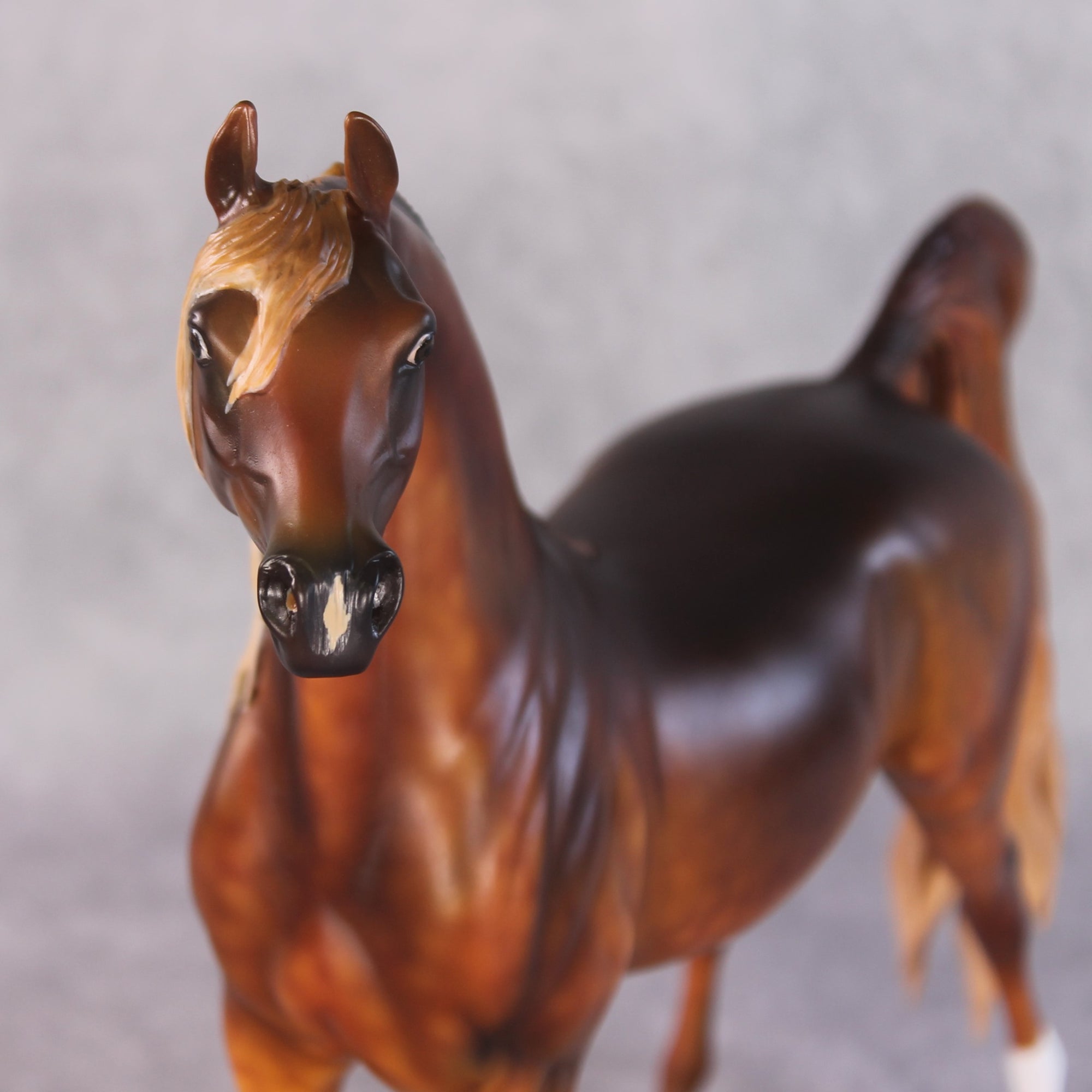 "Close to the Sun" OOAK FCM Arabian By Kristen Cermele