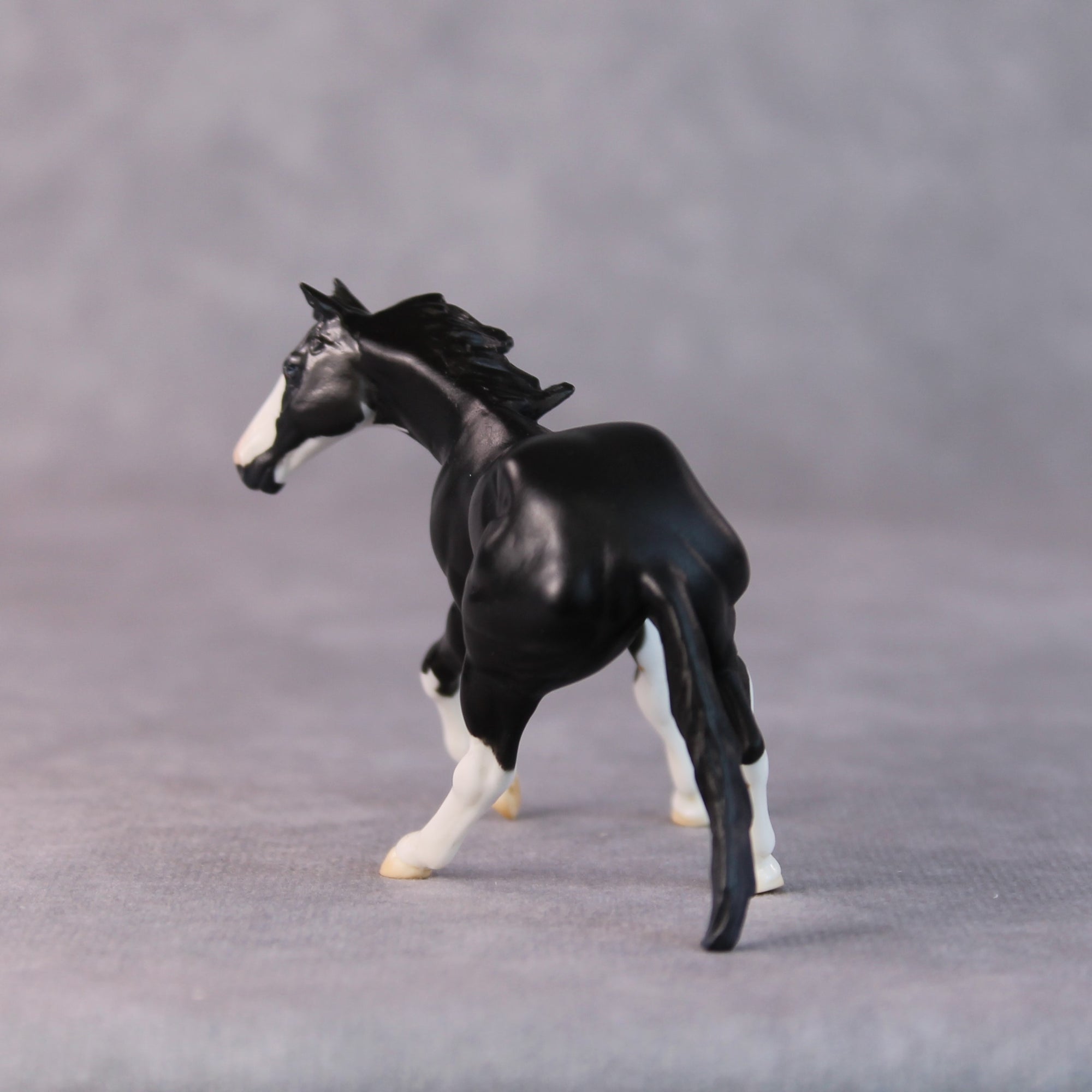 Daffy OOAK Black Pinto Cutter Chip by Jamie Adamson HS24