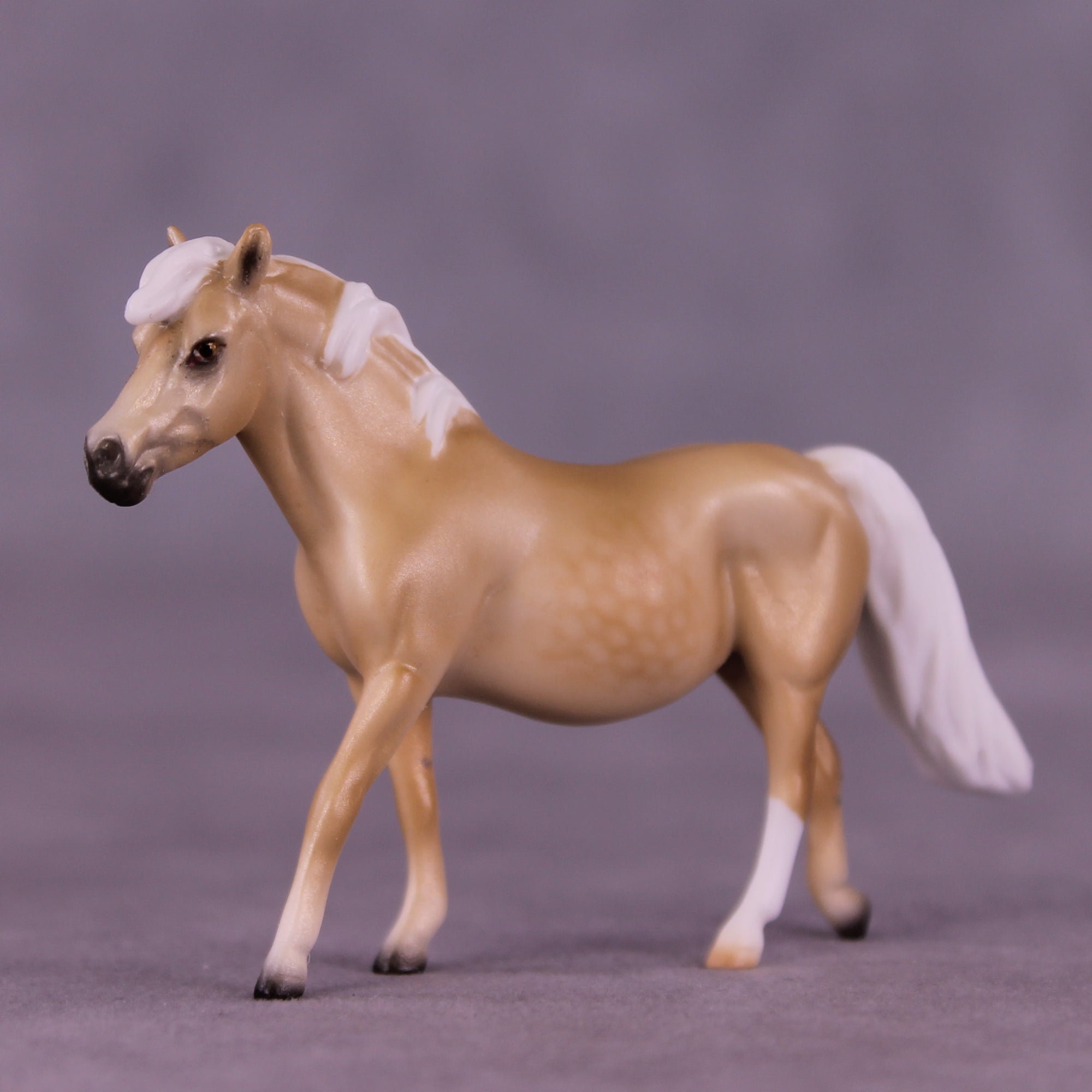 Lachesis LE-10 Chip Pony by Ellen Robbins CL25