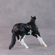 Daffy OOAK Black Pinto Cutter Chip by Jamie Adamson HS24