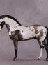 "Ptolemaea" OOAK Andalusian by Julie Keim SHCF25