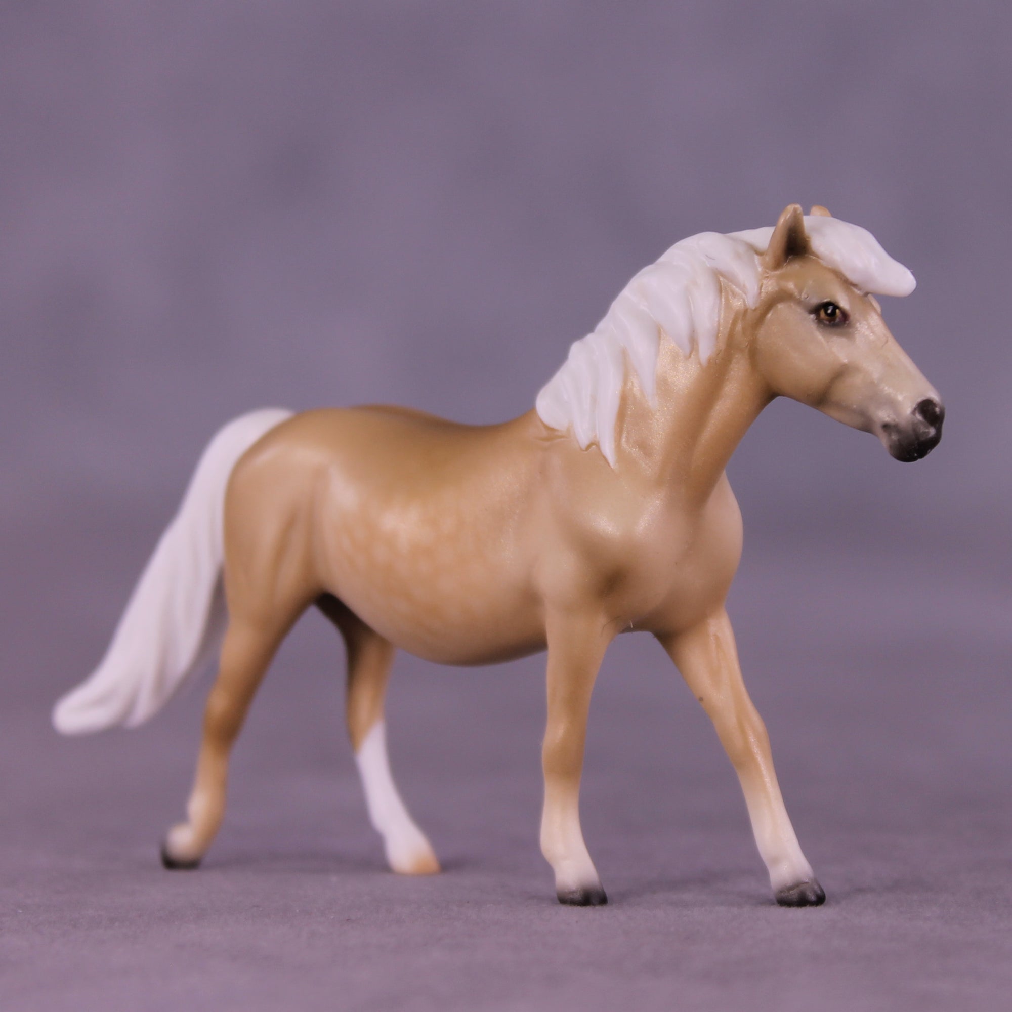 Lachesis LE-10 Chip Pony by Ellen Robbins CL25