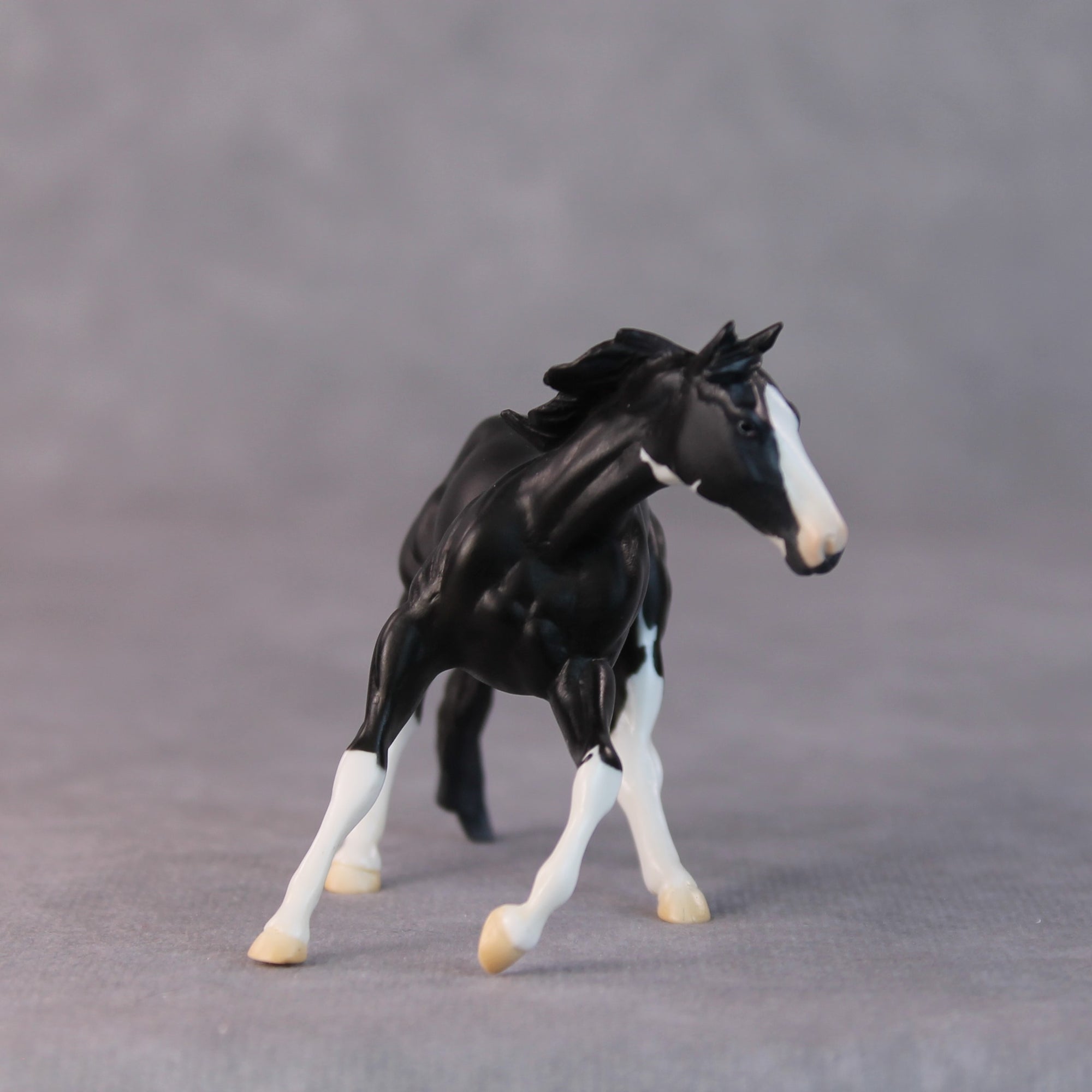 Daffy OOAK Black Pinto Cutter Chip by Jamie Adamson HS24