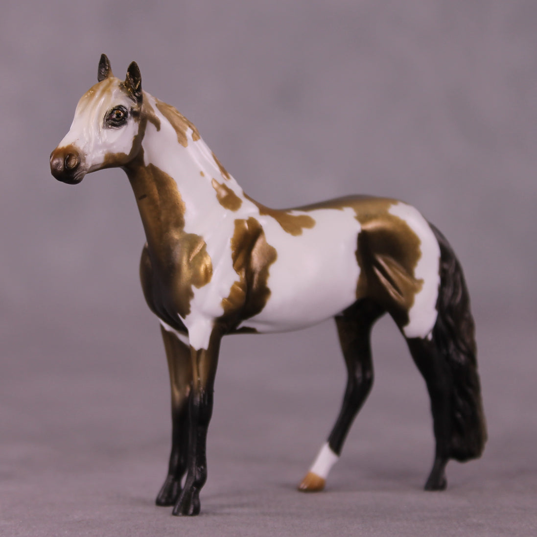 "Ambrose" OOAK Andalusian Chip by Kike Duarte EQ25