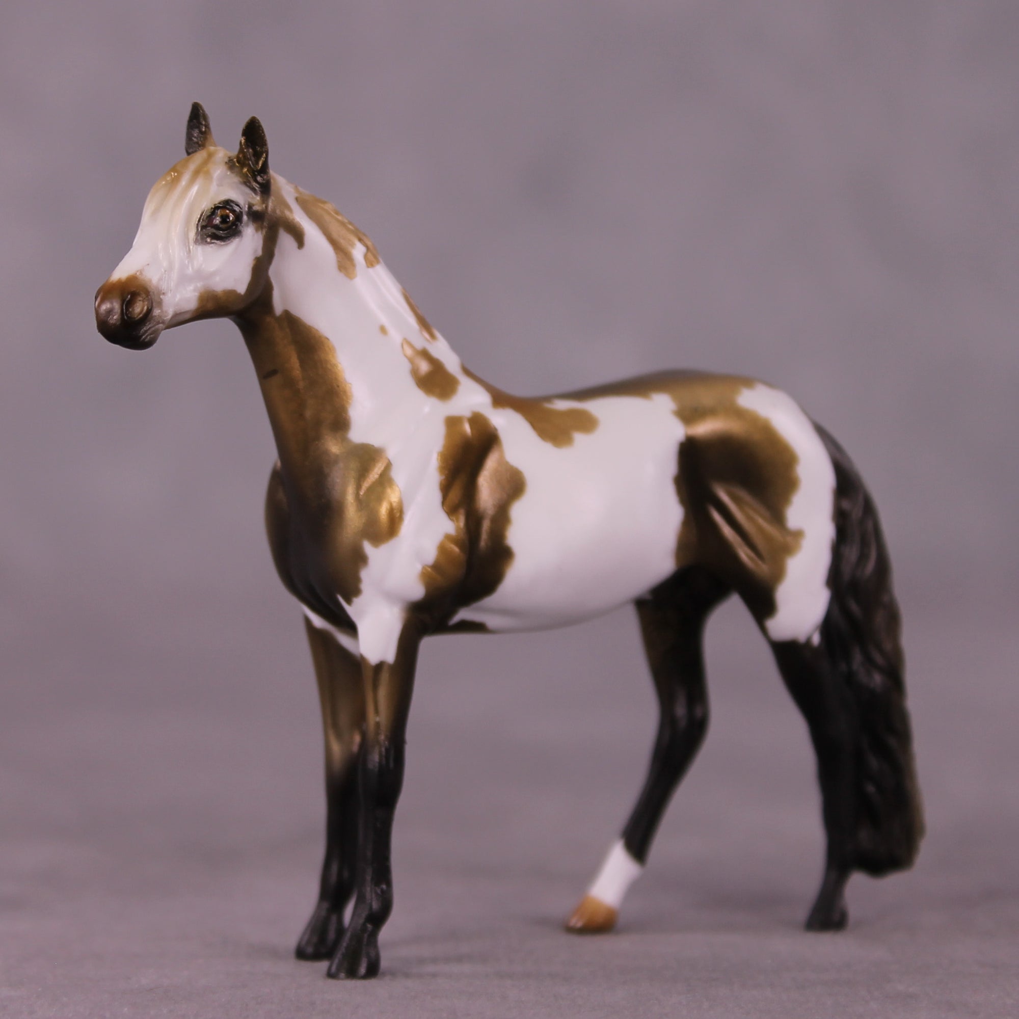 &quot;Ambrose&quot; OOAK Andalusian Chip by Kike Duarte EQ25