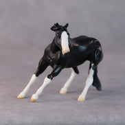 Daffy OOAK Black Pinto Cutter Chip by Jamie Adamson HS24