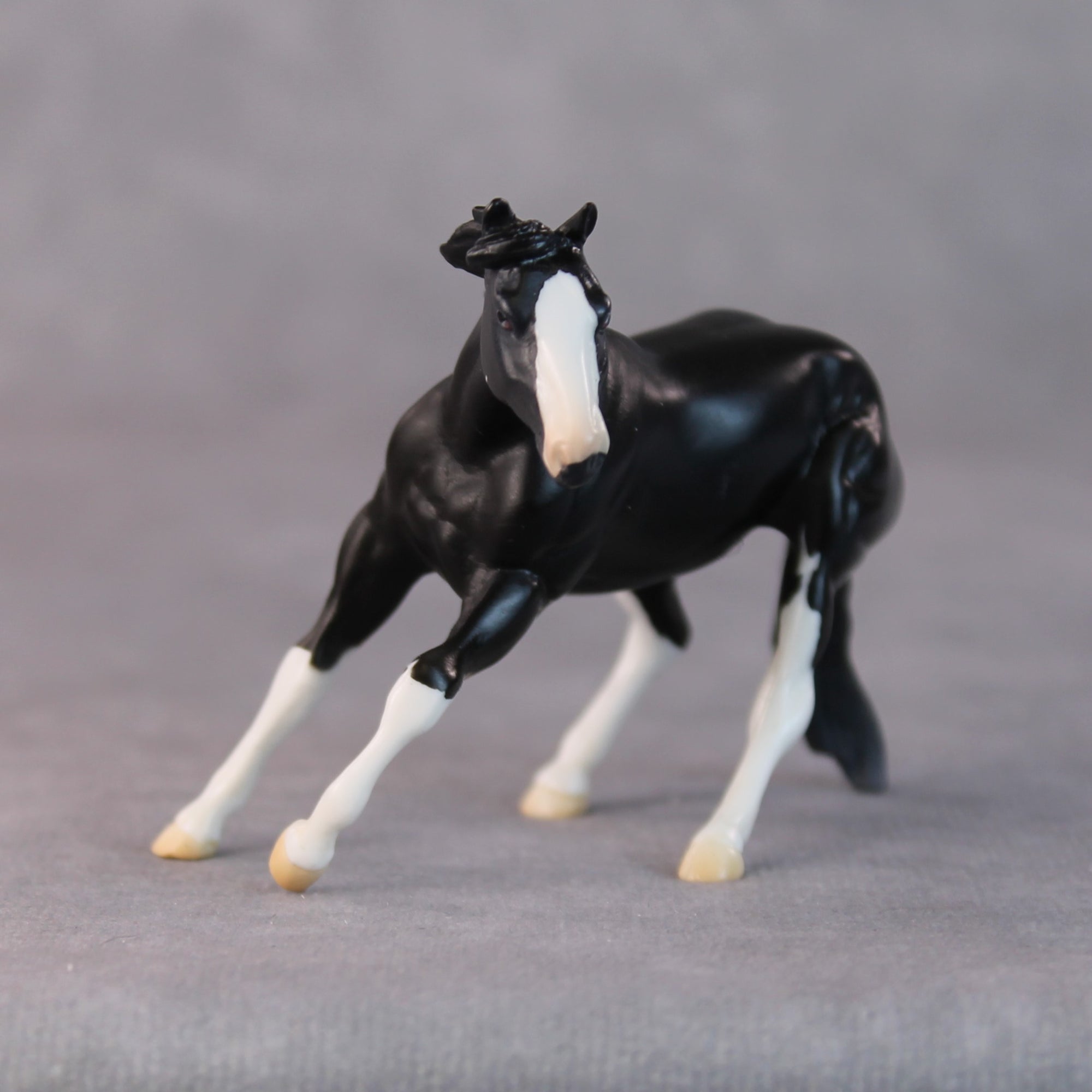 Daffy OOAK Black Pinto Cutter Chip by Jamie Adamson HS24