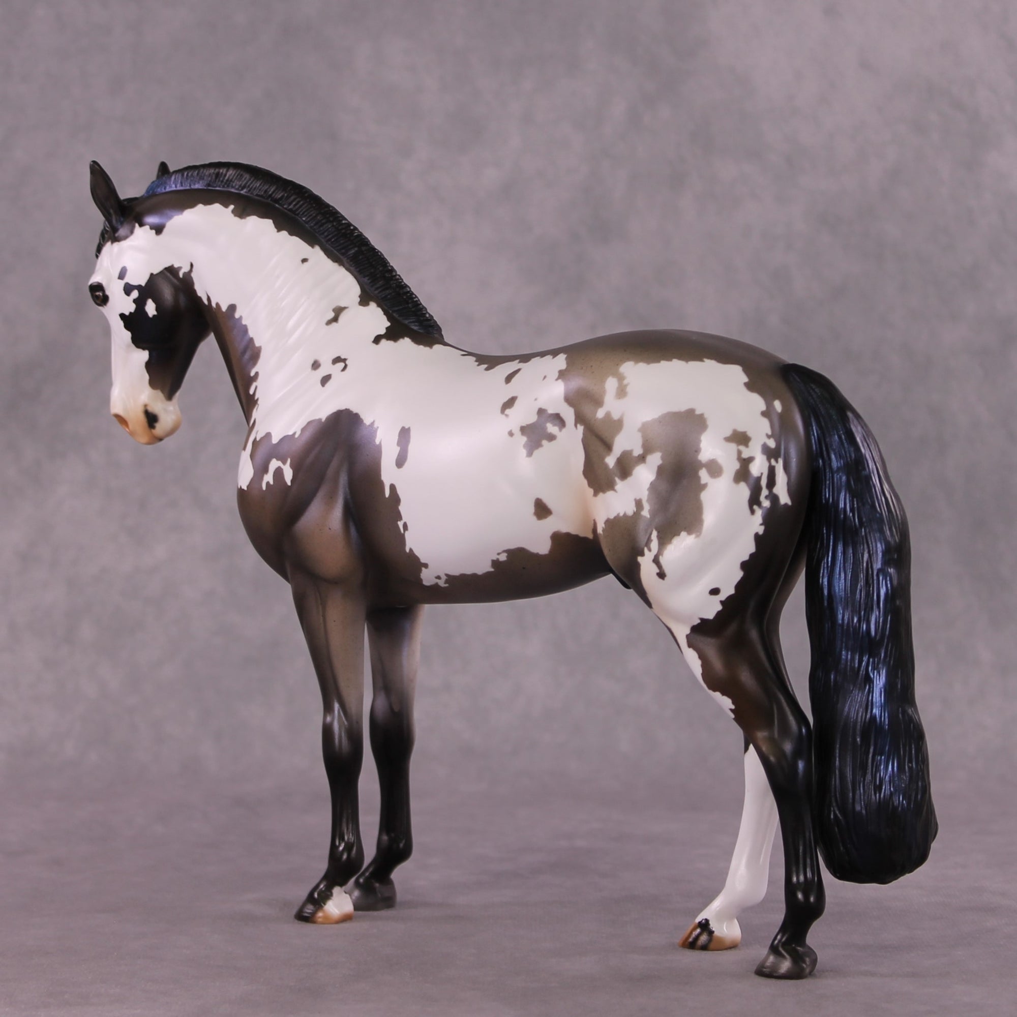 "Ptolemaea" OOAK Andalusian by Julie Keim SHCF25