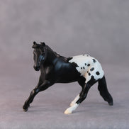 Armadillo OOAK Black Appaloosa Cutter Chip by Jamie Adamson HS24