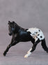 Armadillo OOAK Black Appaloosa Cutter Chip by Jamie Adamson HS24