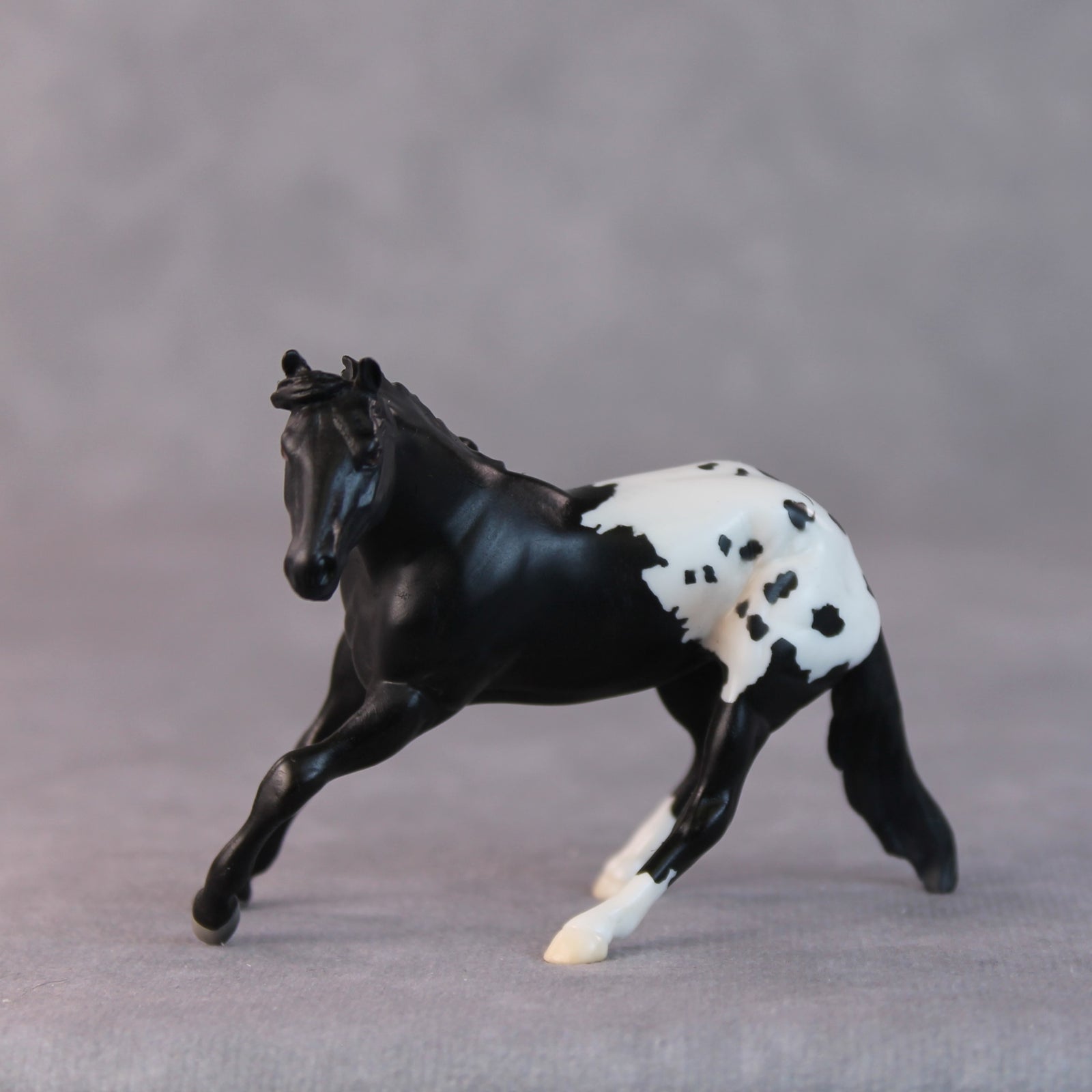 Armadillo OOAK Black Appaloosa Cutter Chip by Jamie Adamson HS24