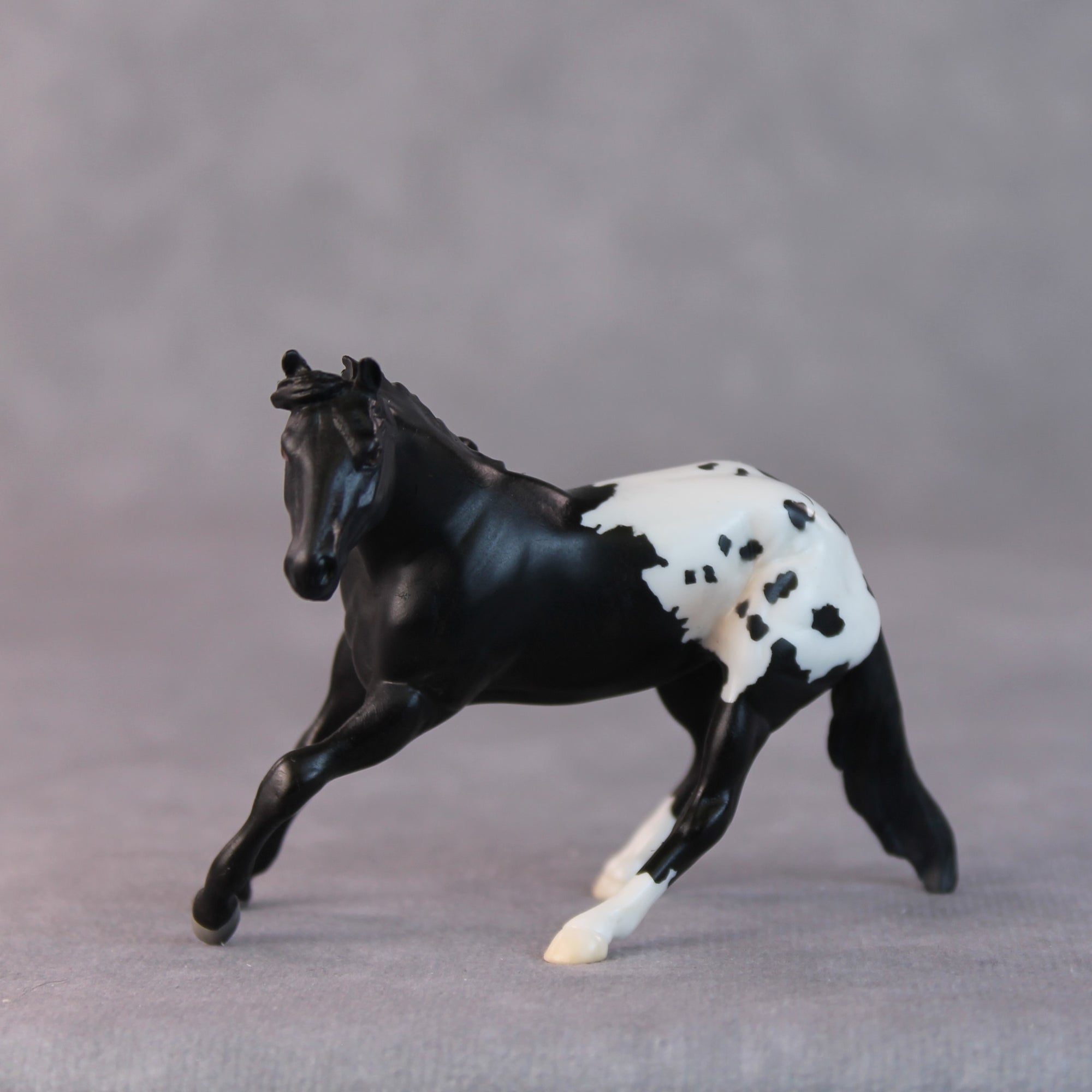 Armadillo OOAK Black Appaloosa Cutter Chip by Jamie Adamson HS24