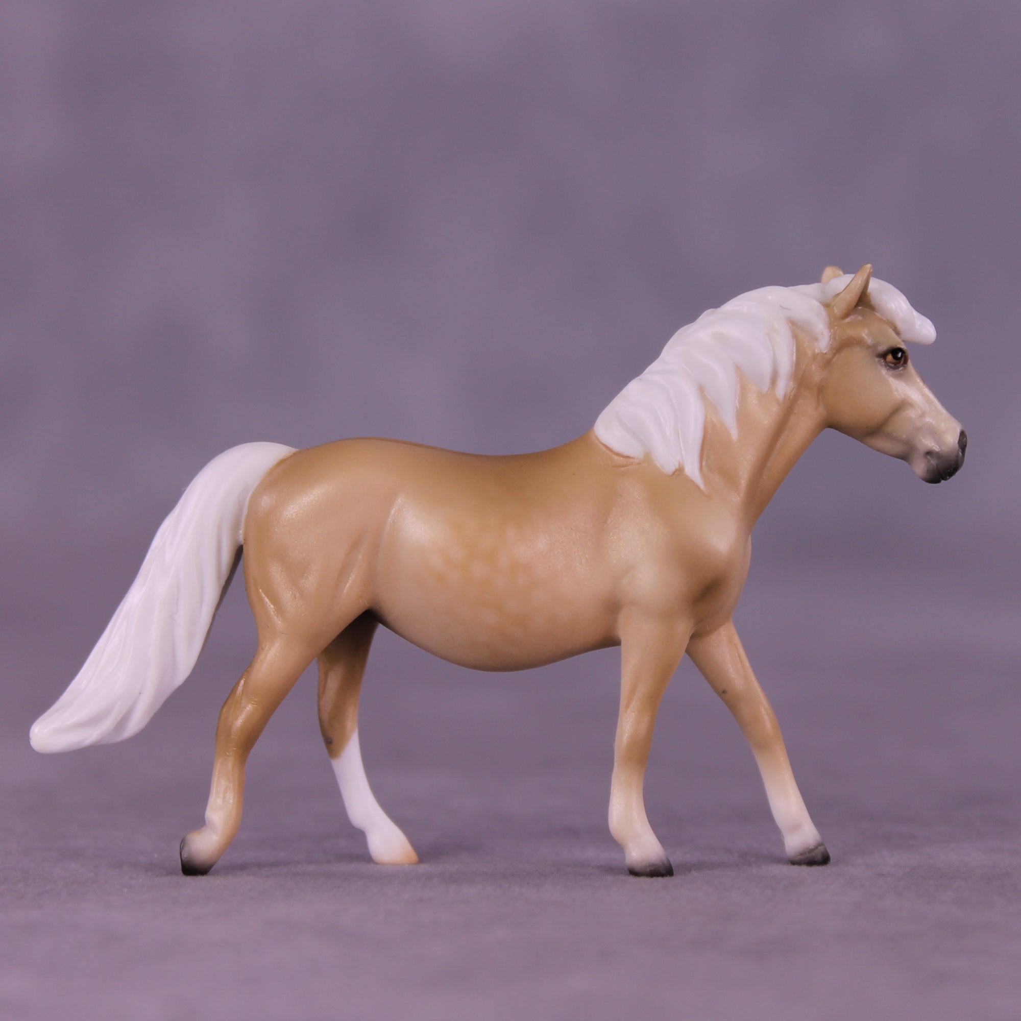 Lachesis LE-10 Chip Pony by Ellen Robbins CL25