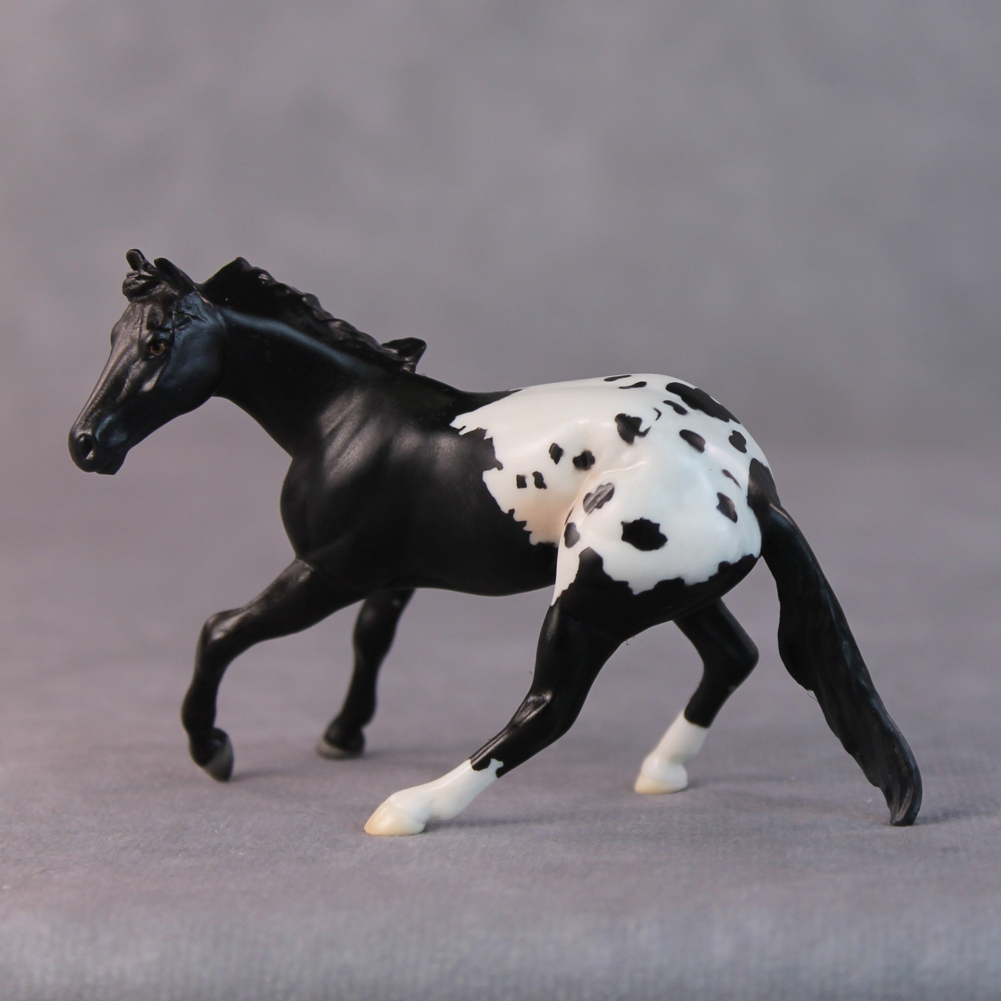 Armadillo OOAK Black Appaloosa Cutter Chip by Jamie Adamson HS24