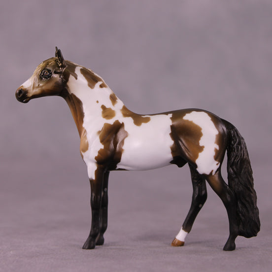 "Cornelius" OOAK Andalusian Chip by Kike Duarte EQ25