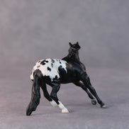 Armadillo OOAK Black Appaloosa Cutter Chip by Jamie Adamson HS24