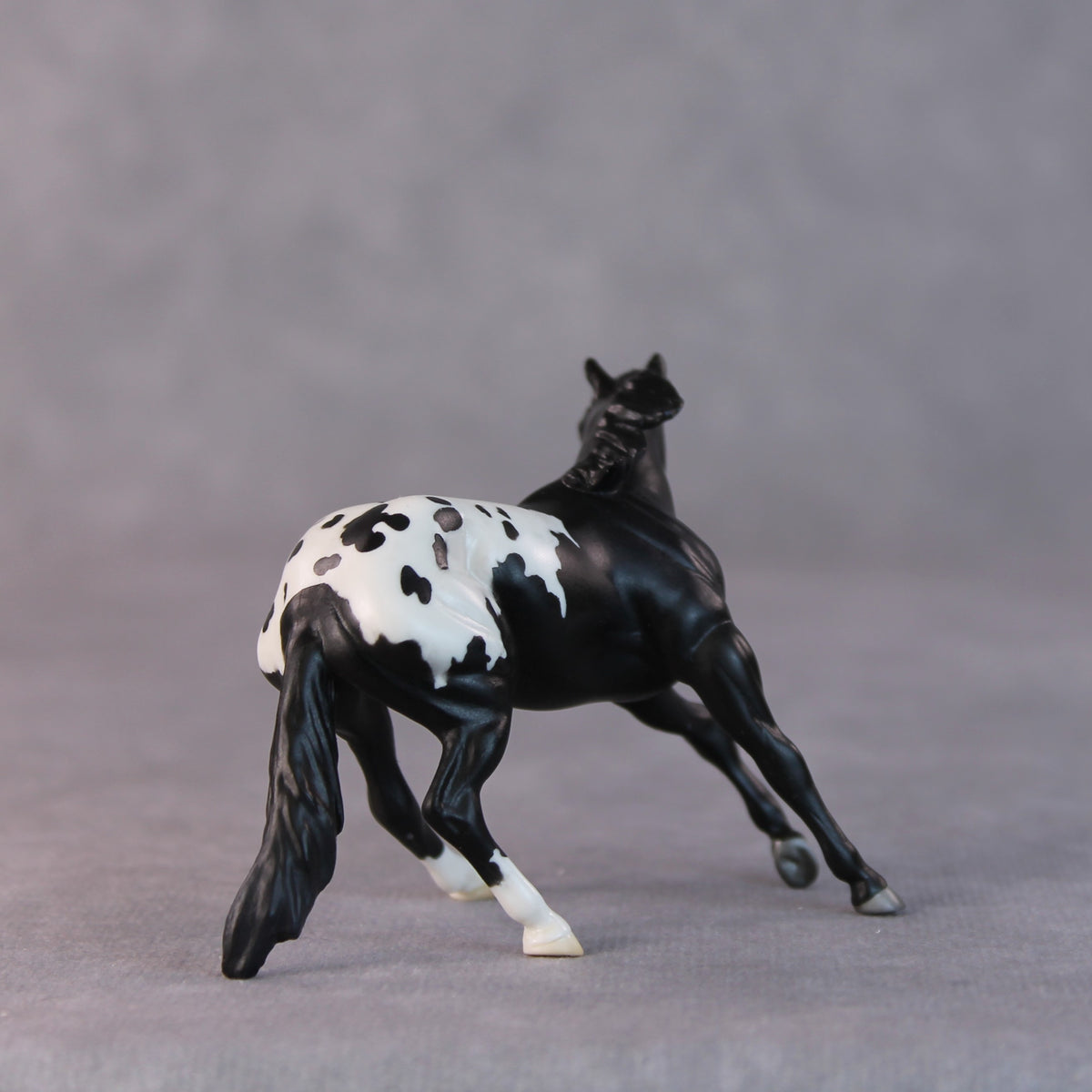 Armadillo OOAK Black Appaloosa Cutter Chip by Jamie Adamson HS24