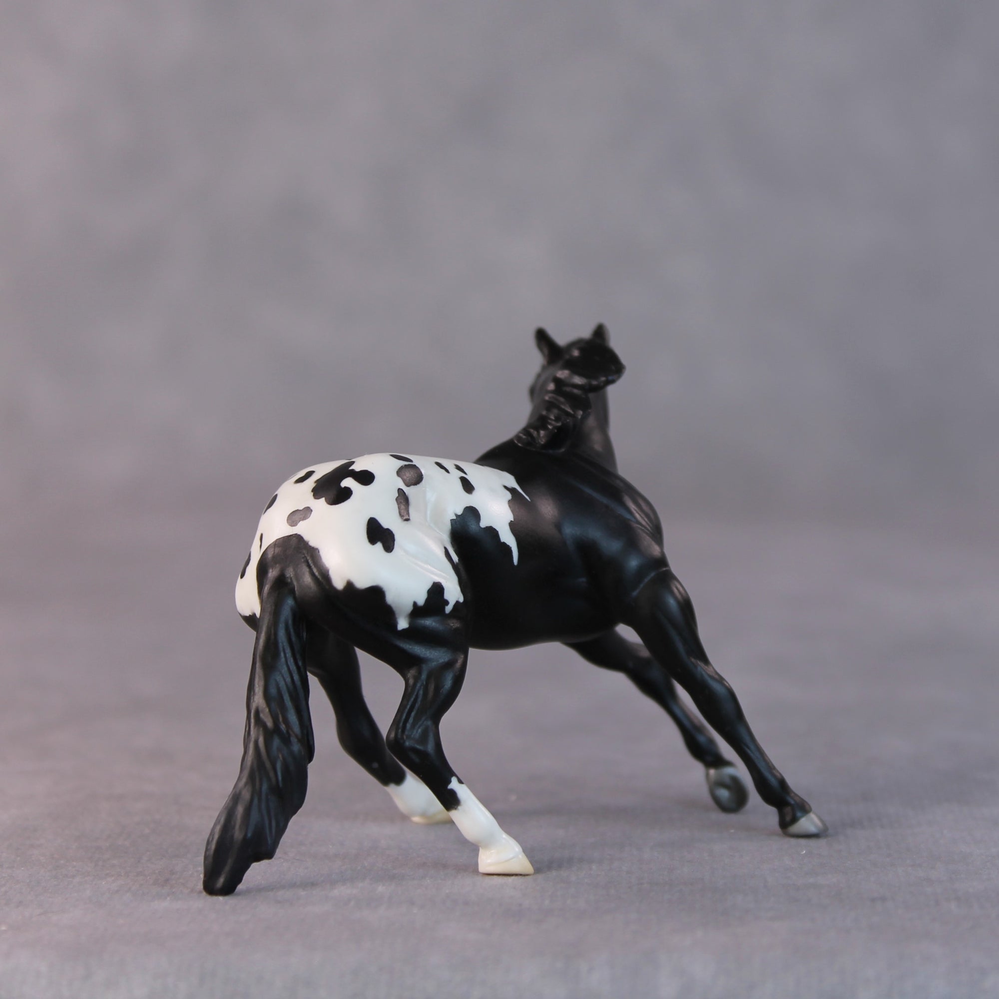 Armadillo OOAK Black Appaloosa Cutter Chip by Jamie Adamson HS24