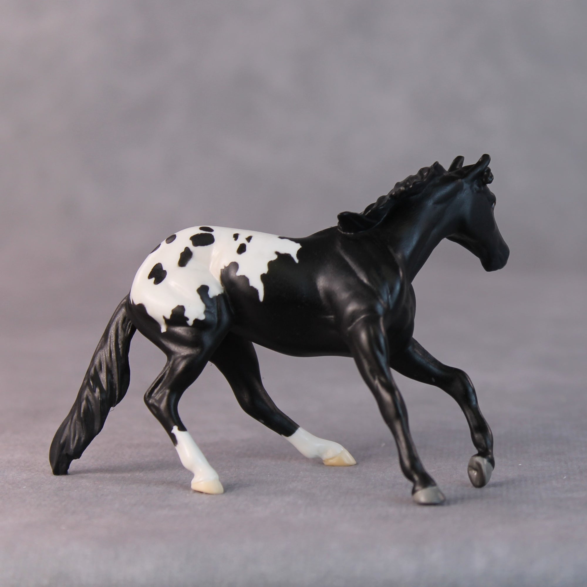 Armadillo OOAK Black Appaloosa Cutter Chip by Jamie Adamson HS24