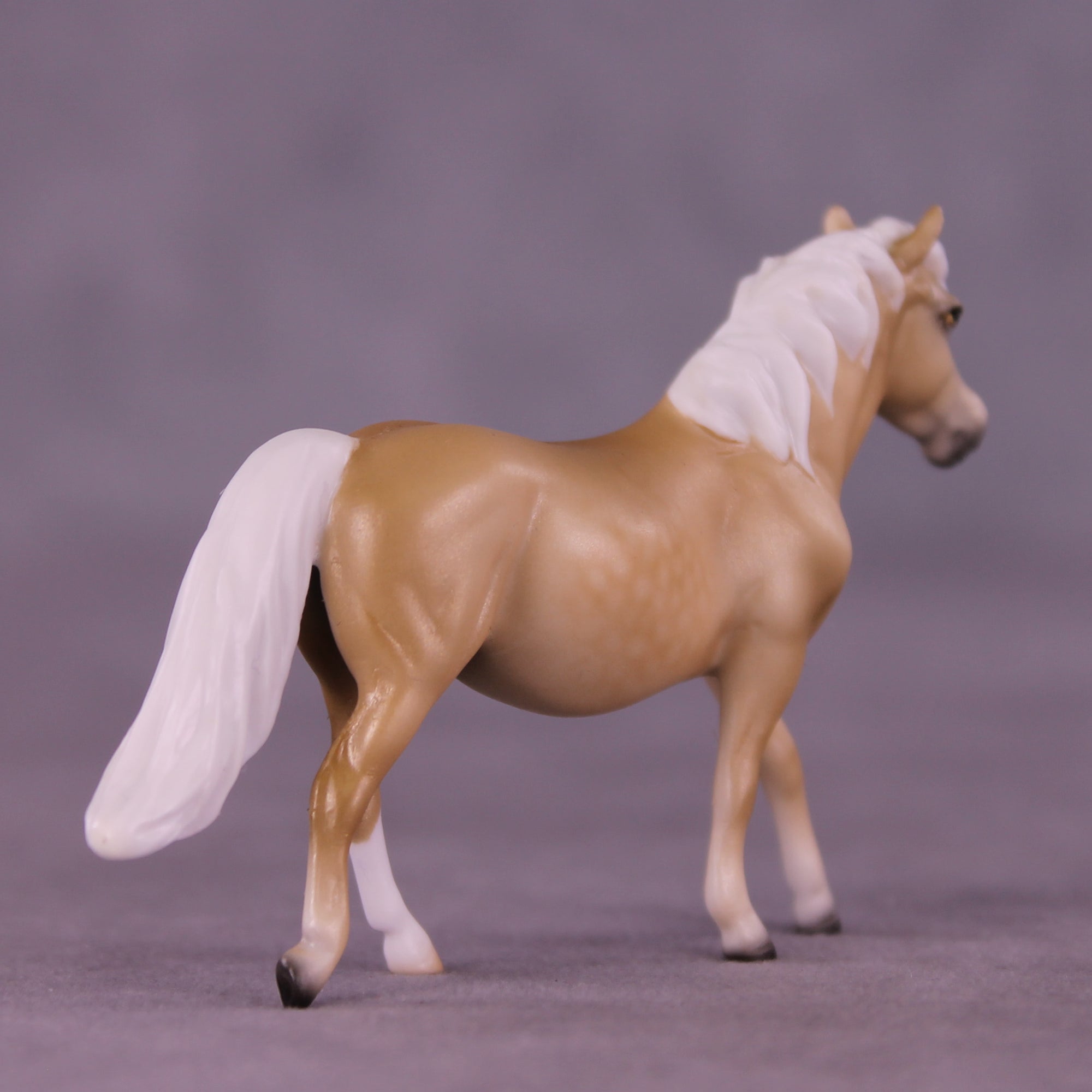 Lachesis LE-10 Chip Pony by Ellen Robbins CL25