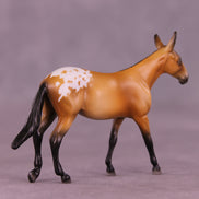 Biscotti LE-5 Chip Mule by Kike (Enrique) Duarte December $99 Chips