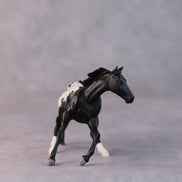 Armadillo OOAK Black Appaloosa Cutter Chip by Jamie Adamson HS24