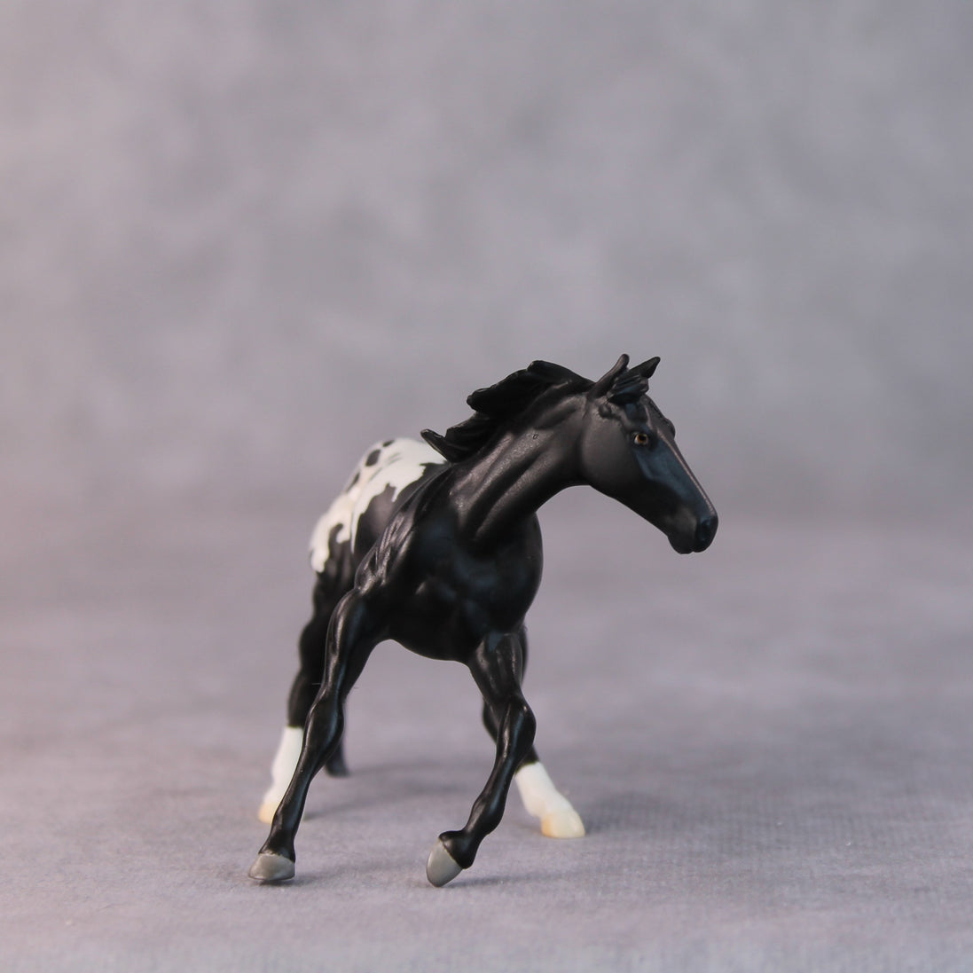 Armadillo OOAK Black Appaloosa Cutter Chip by Jamie Adamson HS24