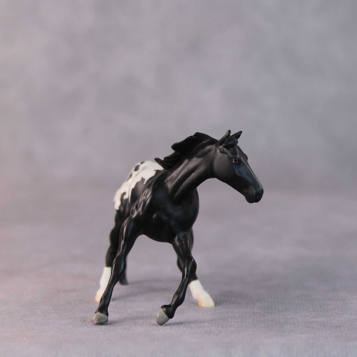 Armadillo OOAK Black Appaloosa Cutter Chip by Jamie Adamson HS24