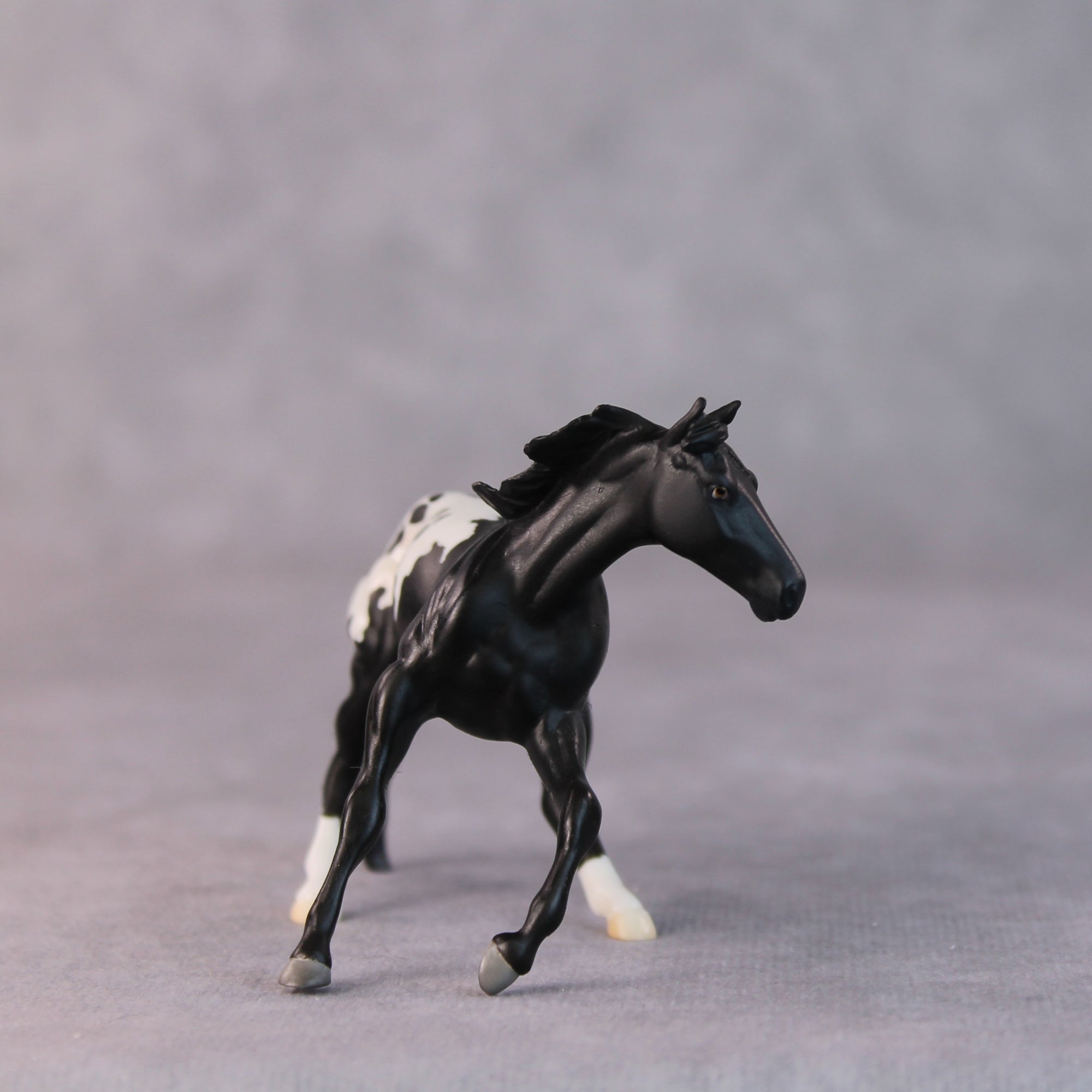 Armadillo OOAK Black Appaloosa Cutter Chip by Jamie Adamson HS24
