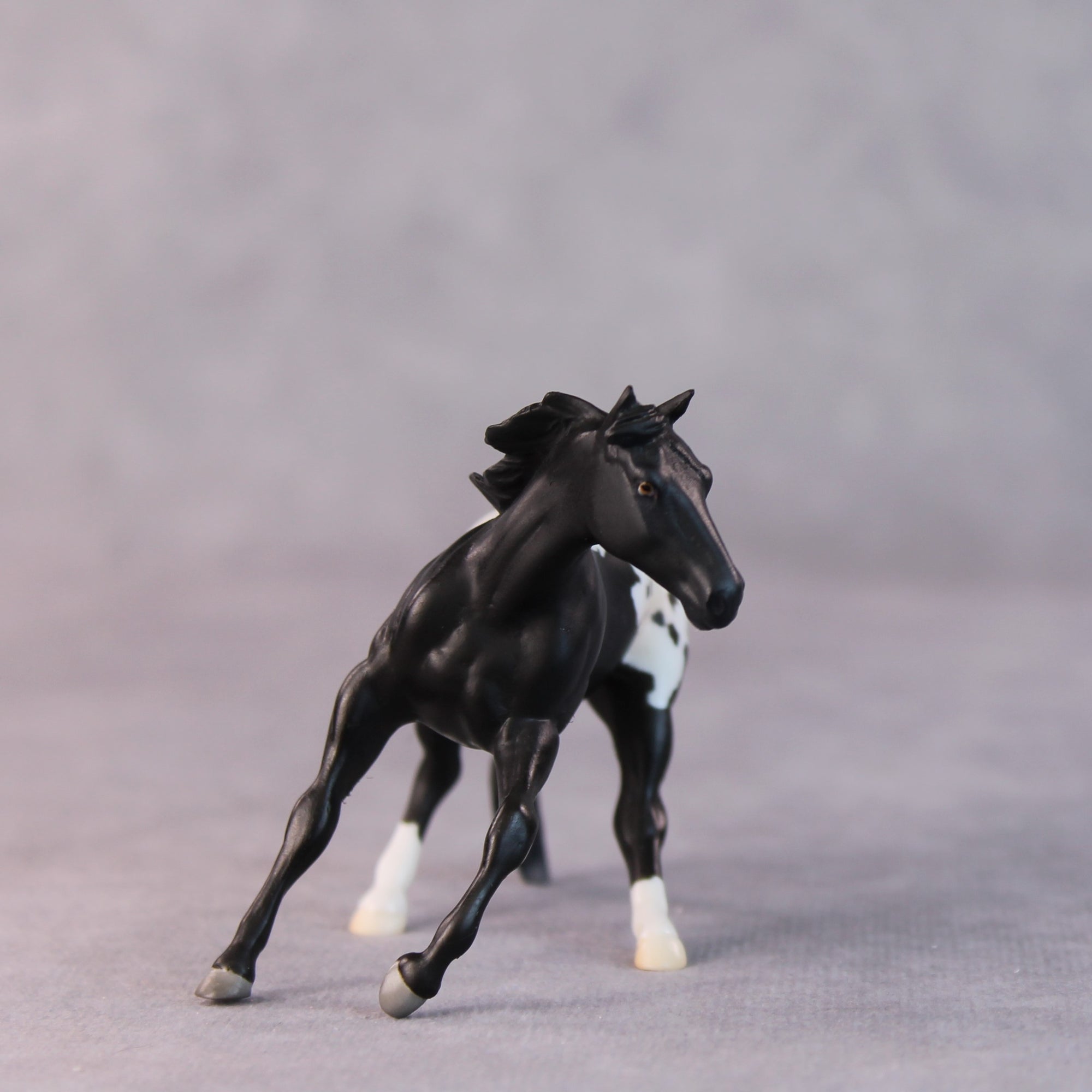 Armadillo OOAK Black Appaloosa Cutter Chip by Jamie Adamson HS24