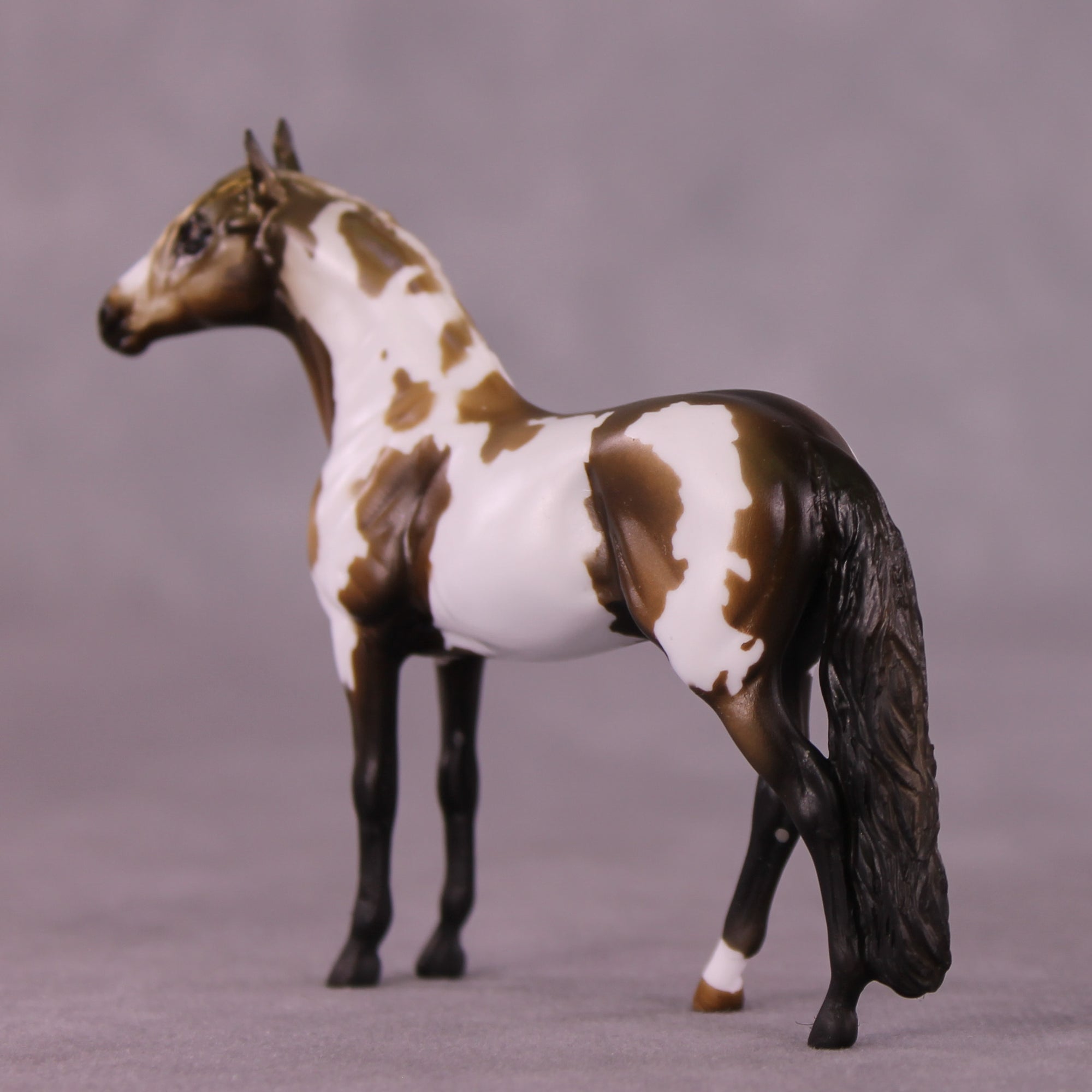 "Cornelius" OOAK Andalusian Chip by Kike Duarte EQ25