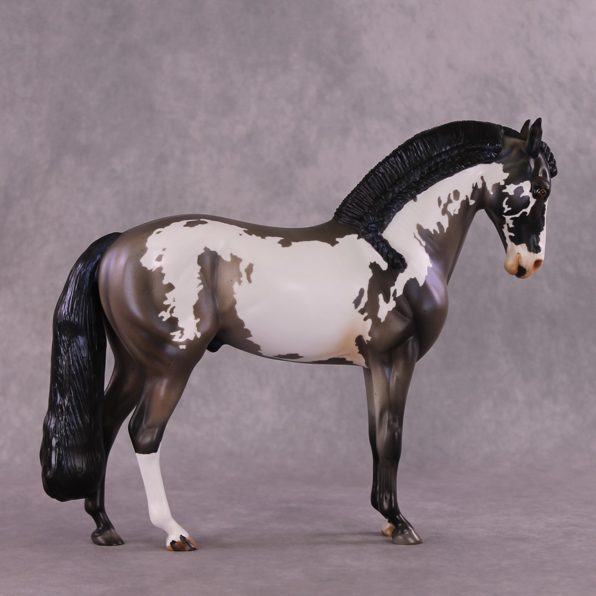 "Ptolemaea" OOAK Andalusian by Julie Keim SHCF25