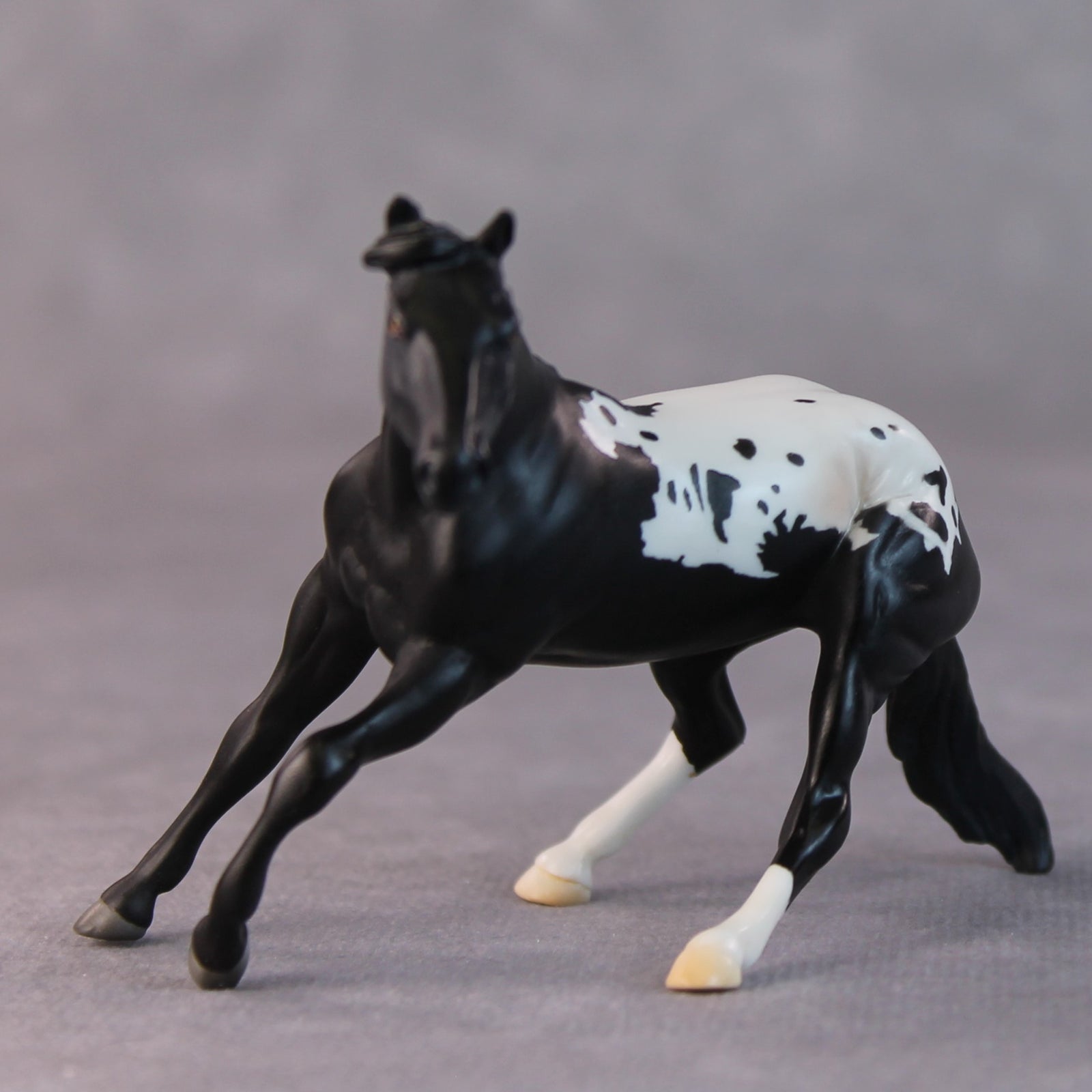 Lisa OOAK Black Appaloosa Cutter Chip By Jamie Adamson HS24 Online Drawing OOAK